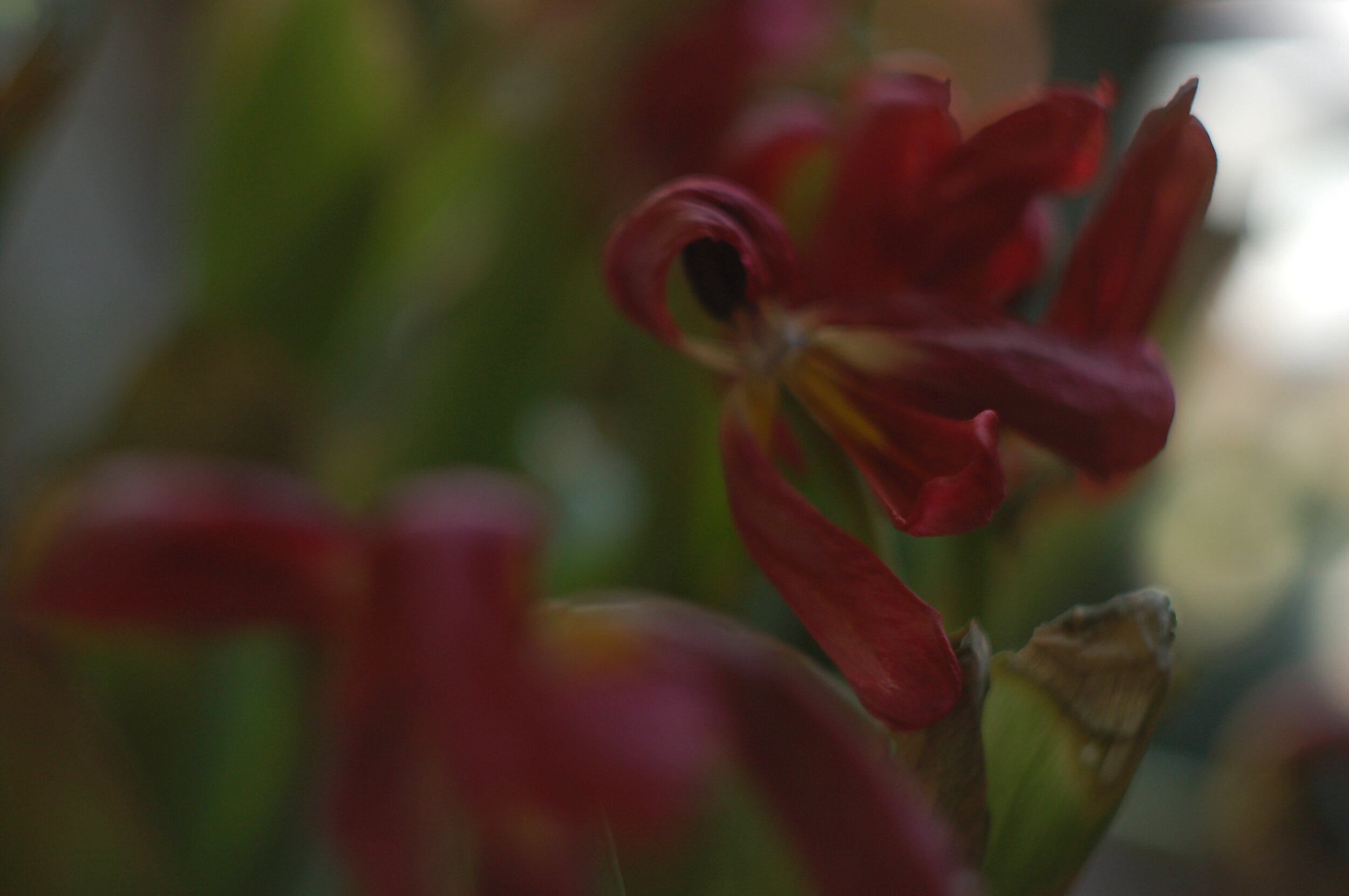 DSC_0147 (5).jpeg