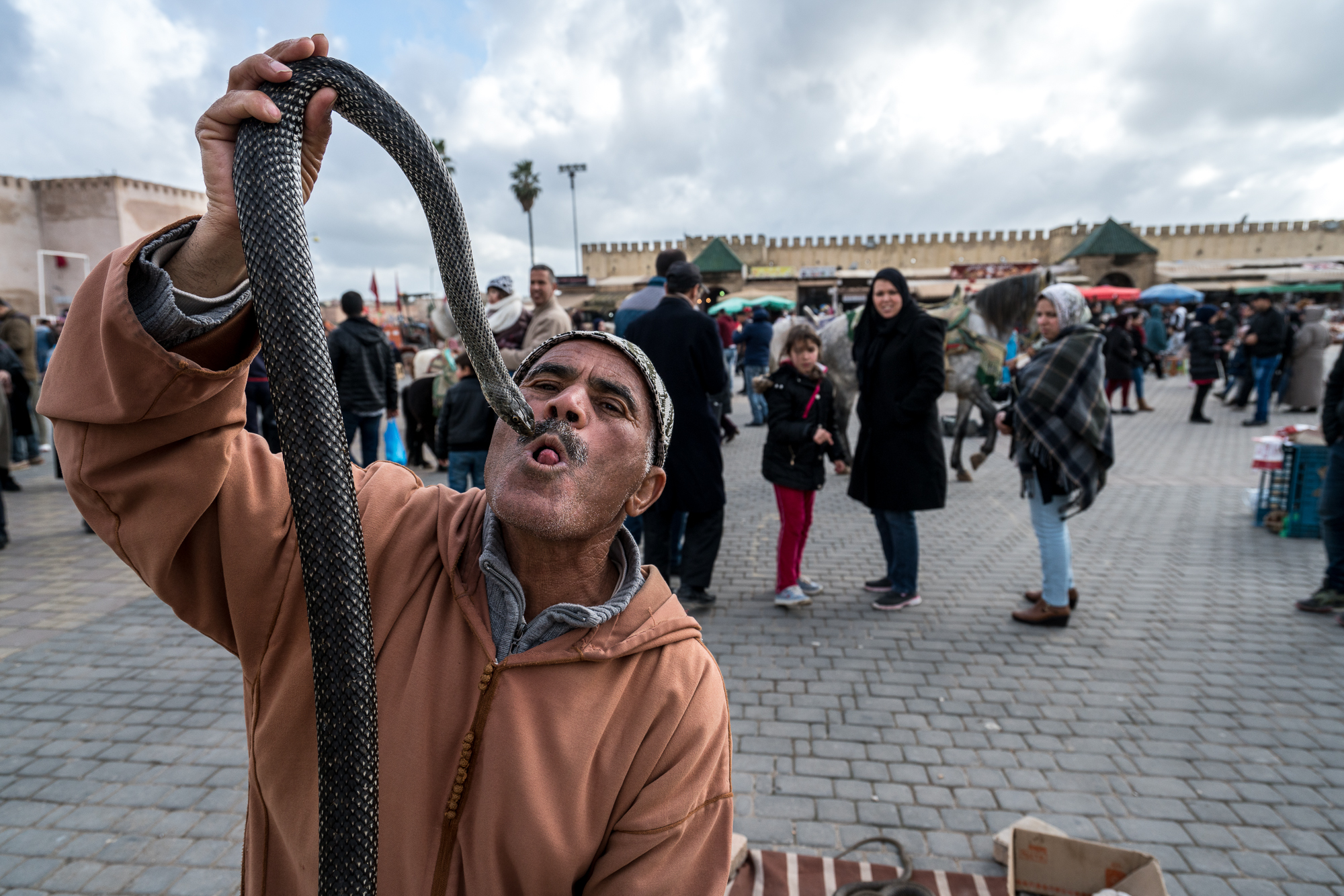 Morocco  sin título2018-09685-2 7952 x 5304.jpg