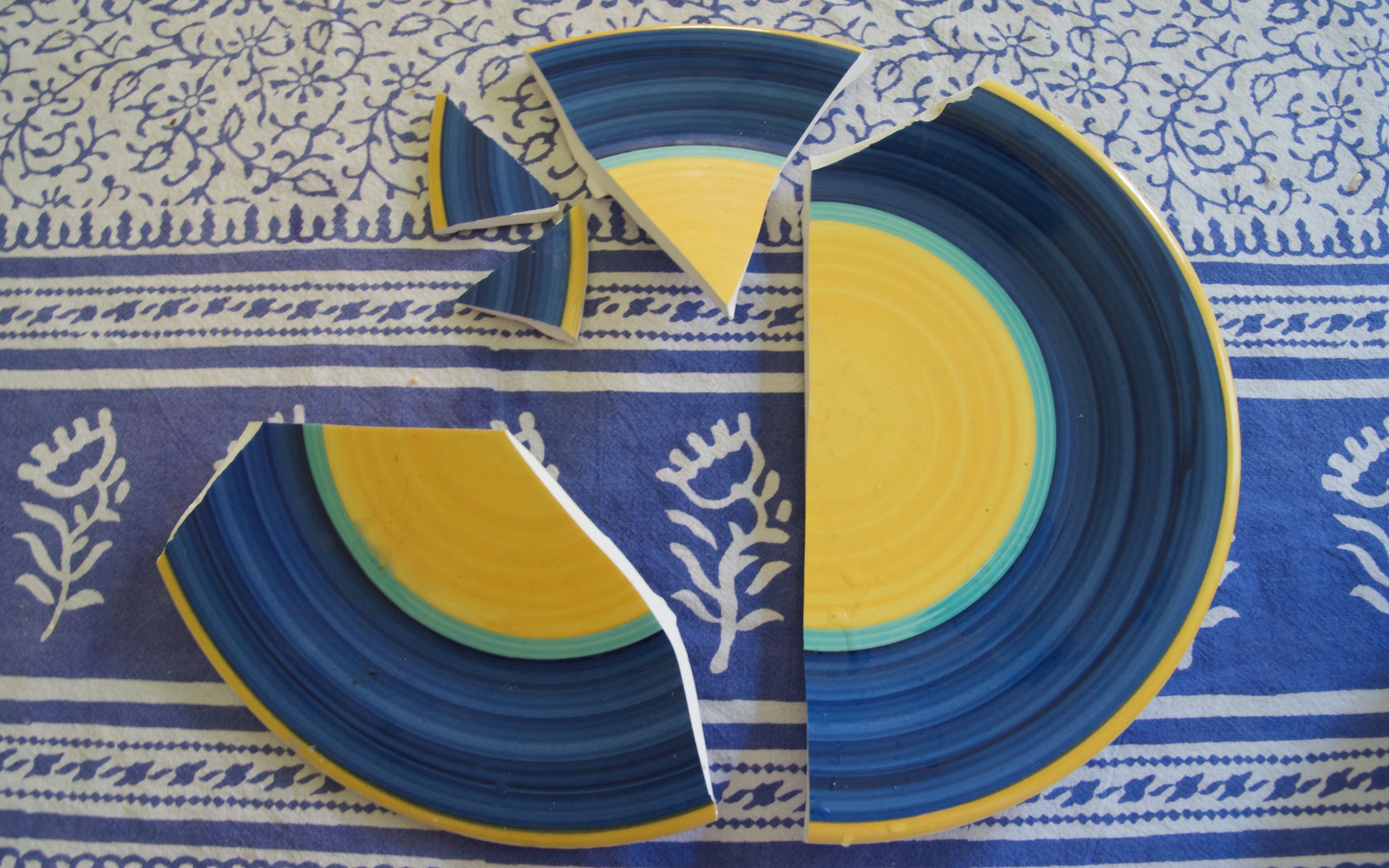 Brokenplate.jpg
