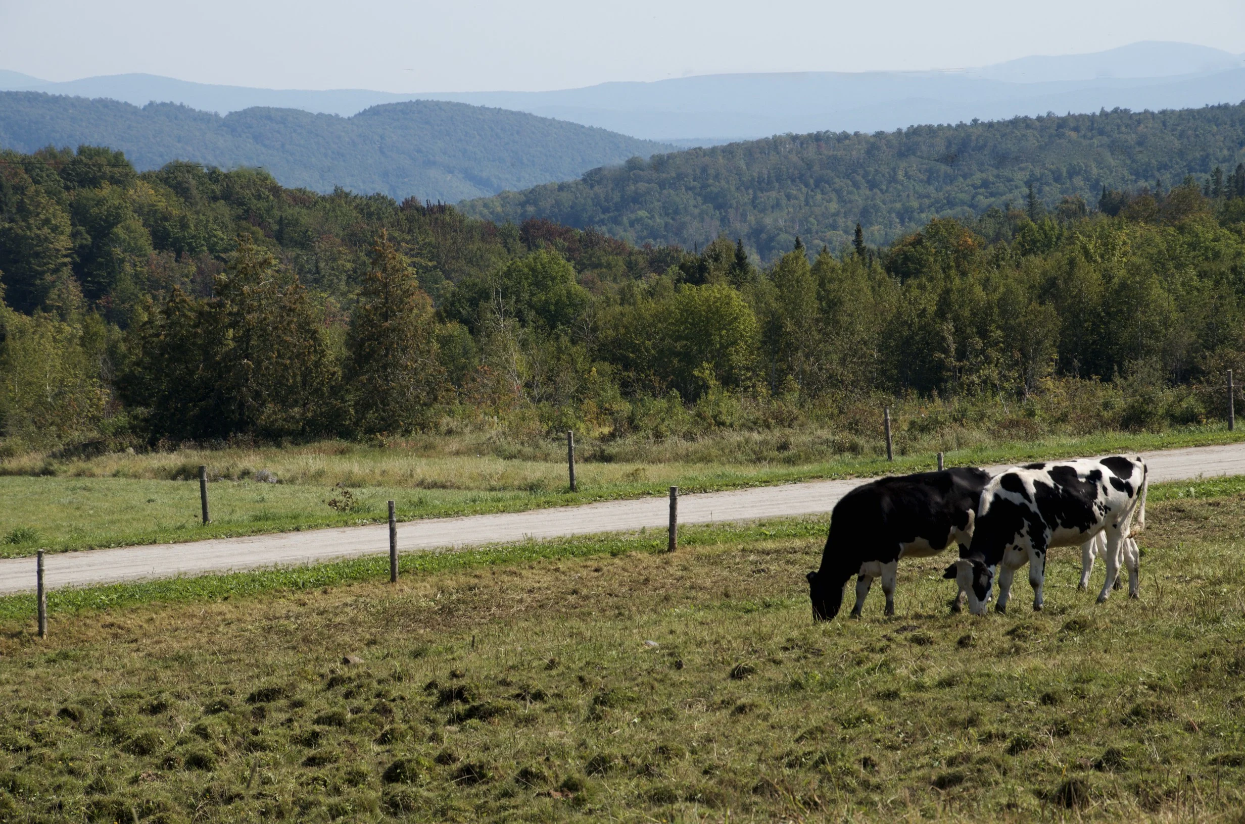 On the road in Vermont ©Cathy de Moll
