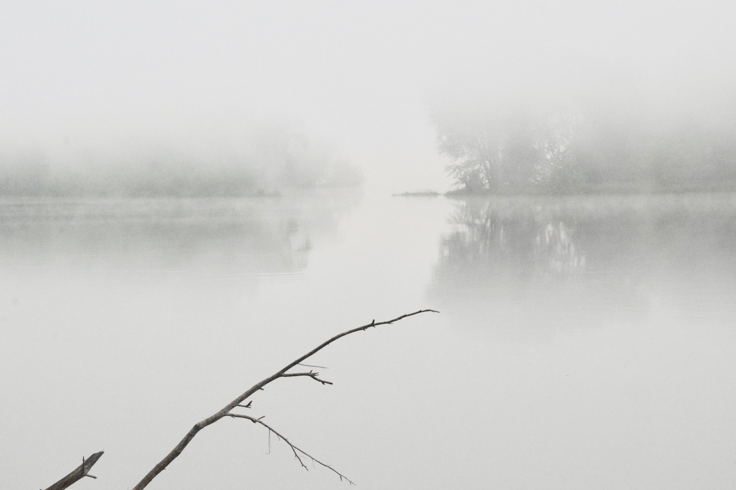 D71_1648.jpeg