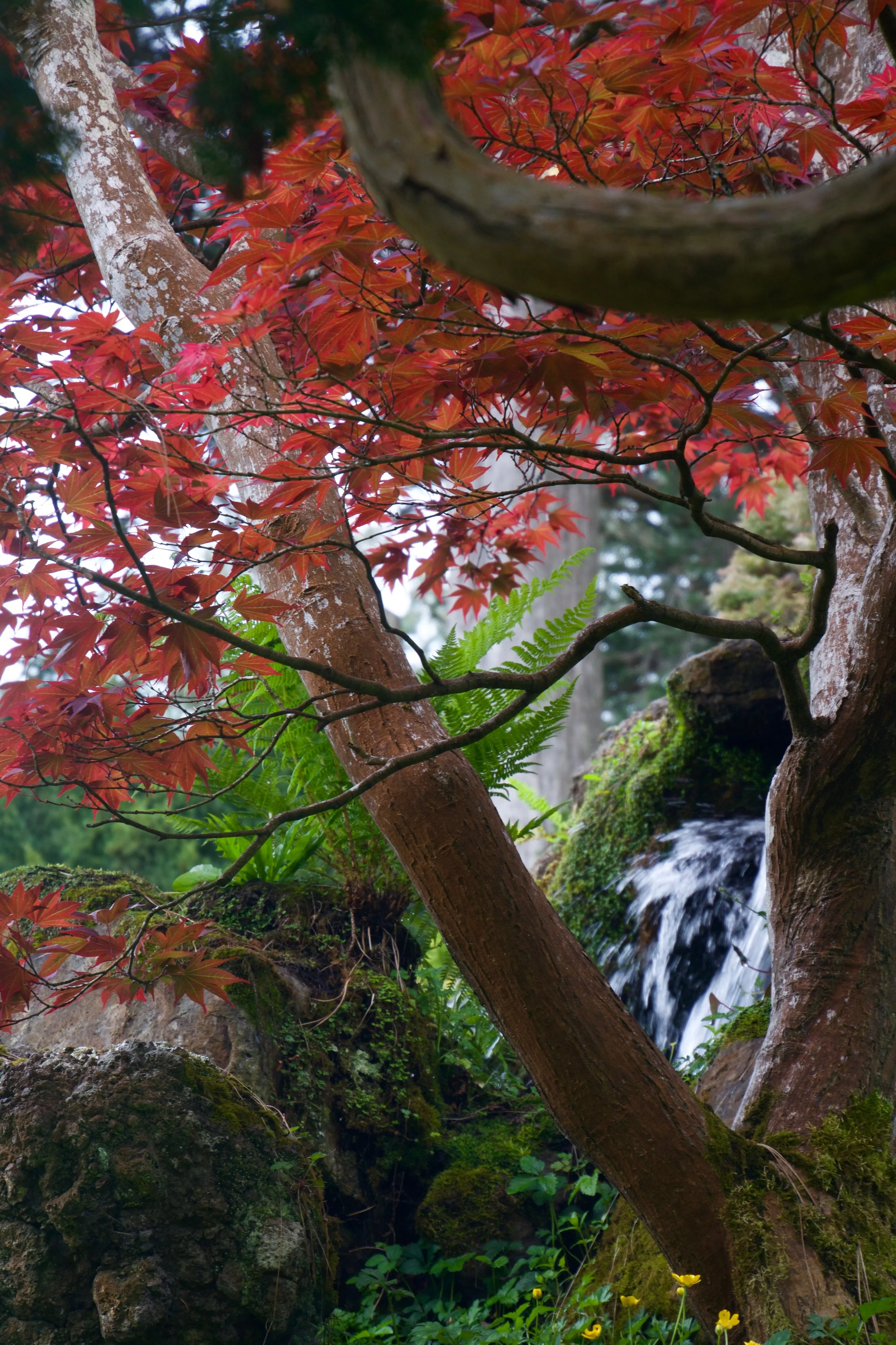 D71_0235.jpeg