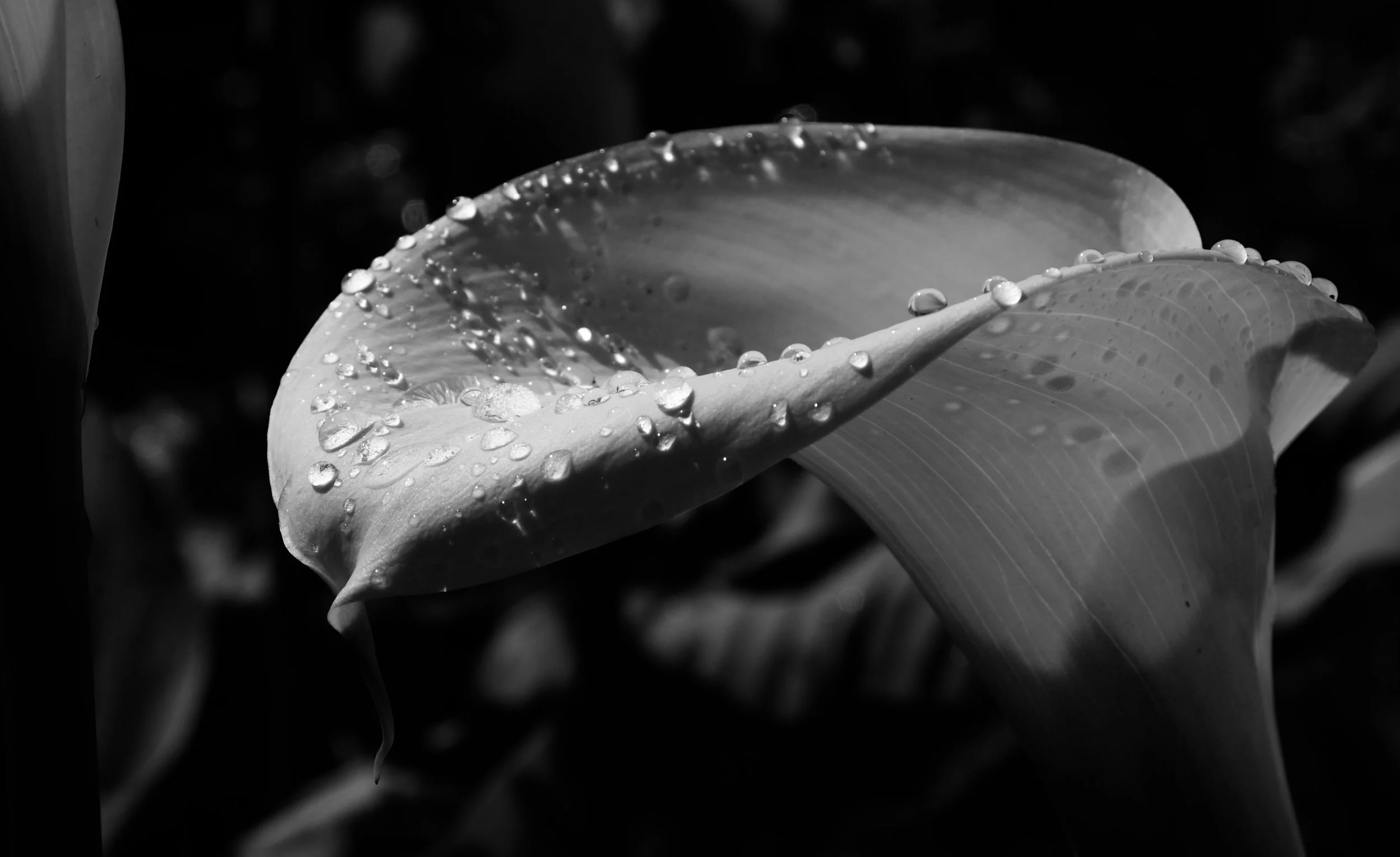 D71_0124.jpeg