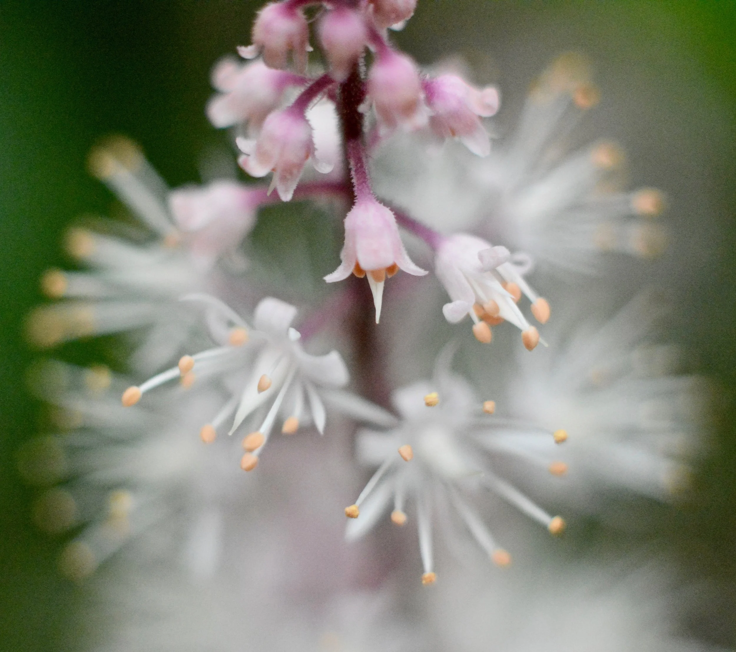 D71_1327.jpeg