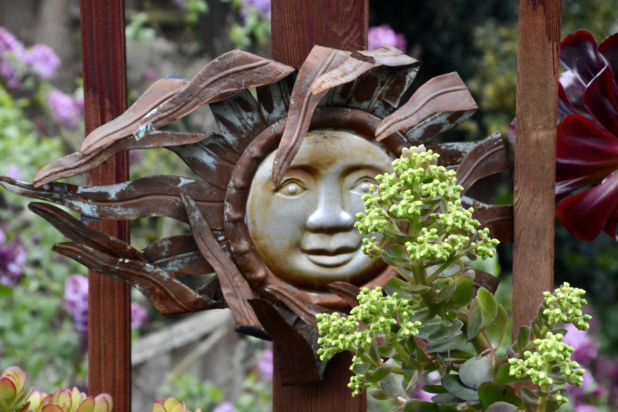 Day Eight: Anticipation (March 24, 2020)