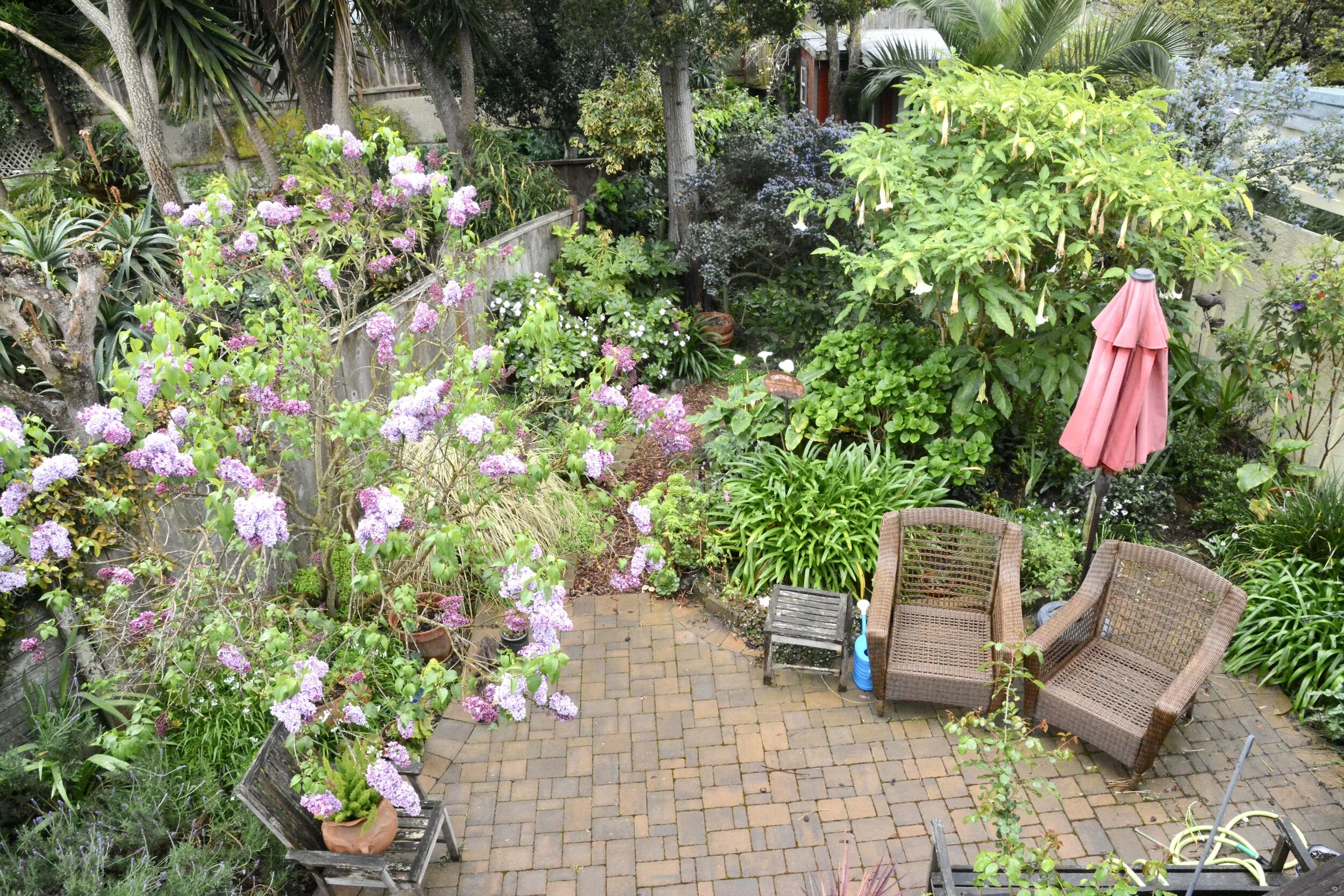 Day Thirteen: All for One and One for All (March 29, 2020)