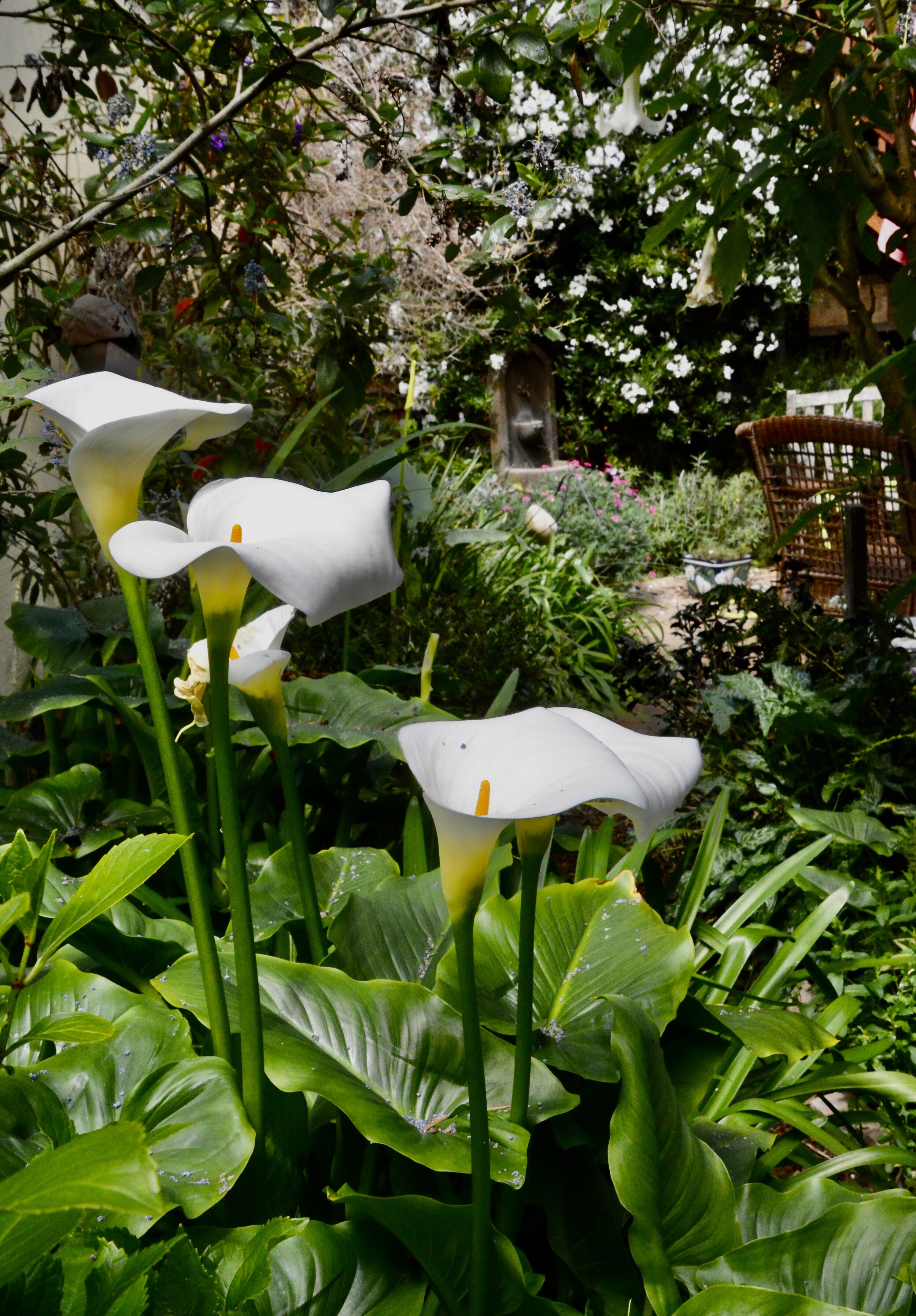 Day Seventeen: Not There Yet (April 2, 2020)