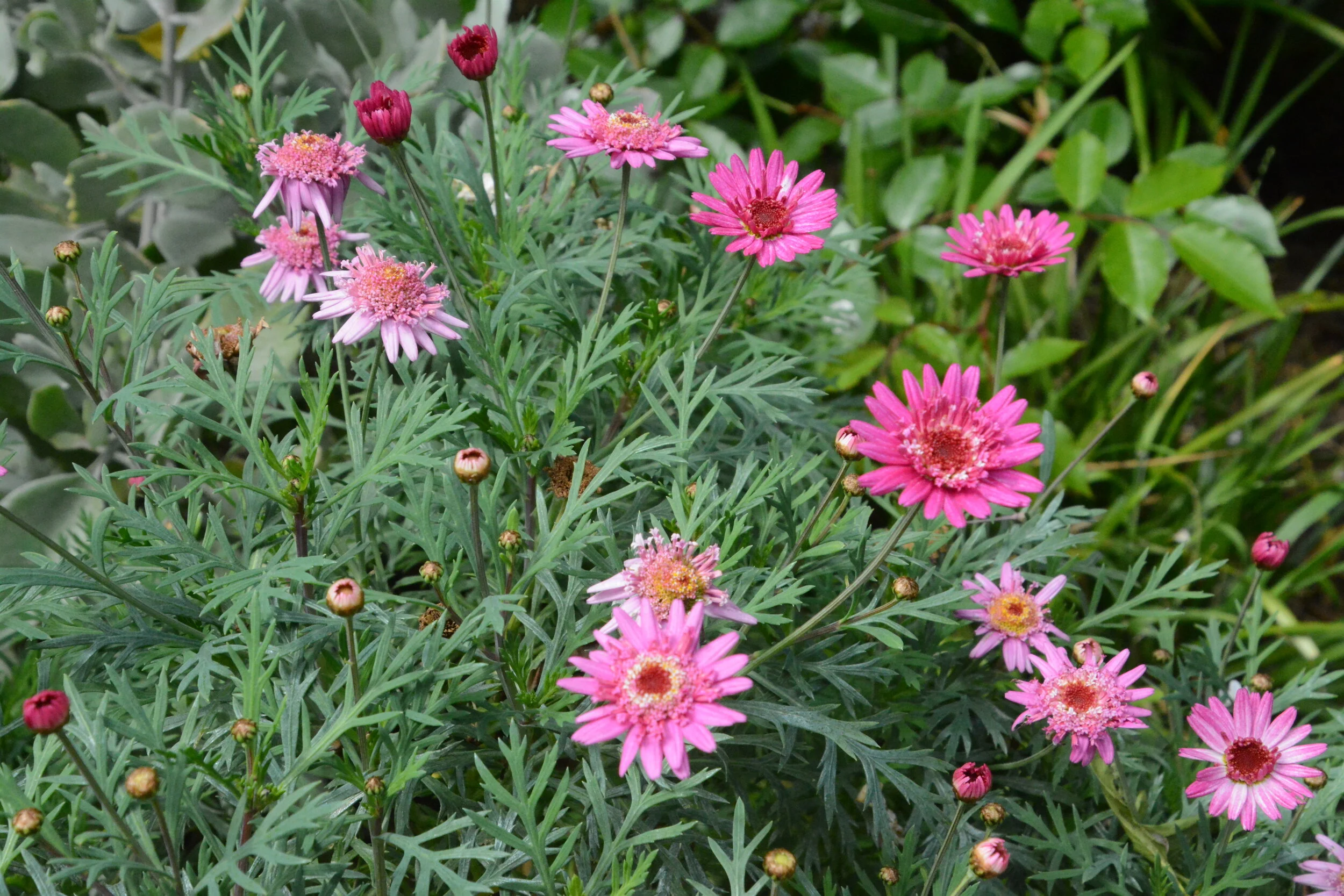 Day Eighteen: Family (April 3, 2020)