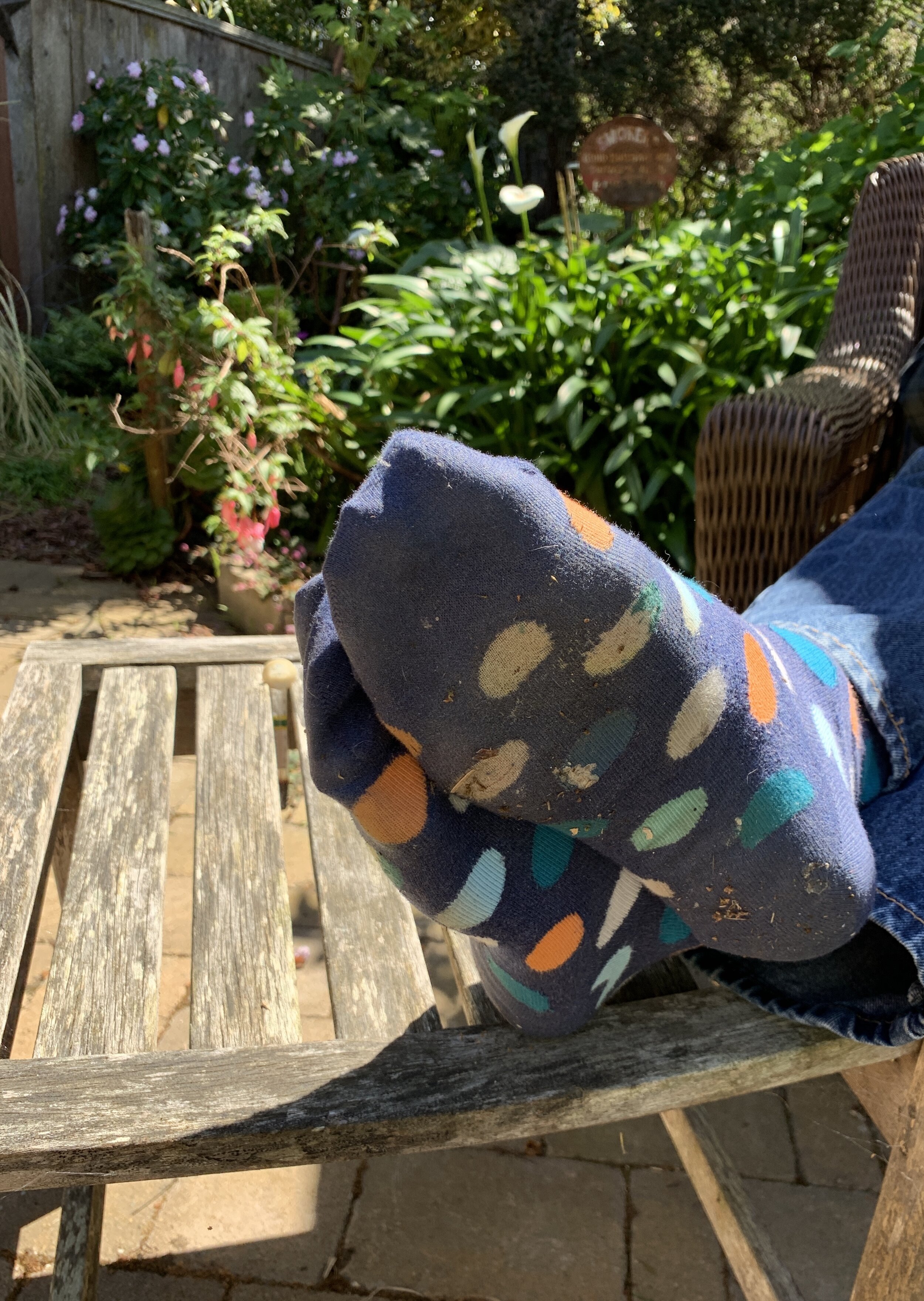 Day 30: A Little Sunshine (April 15, 2020)