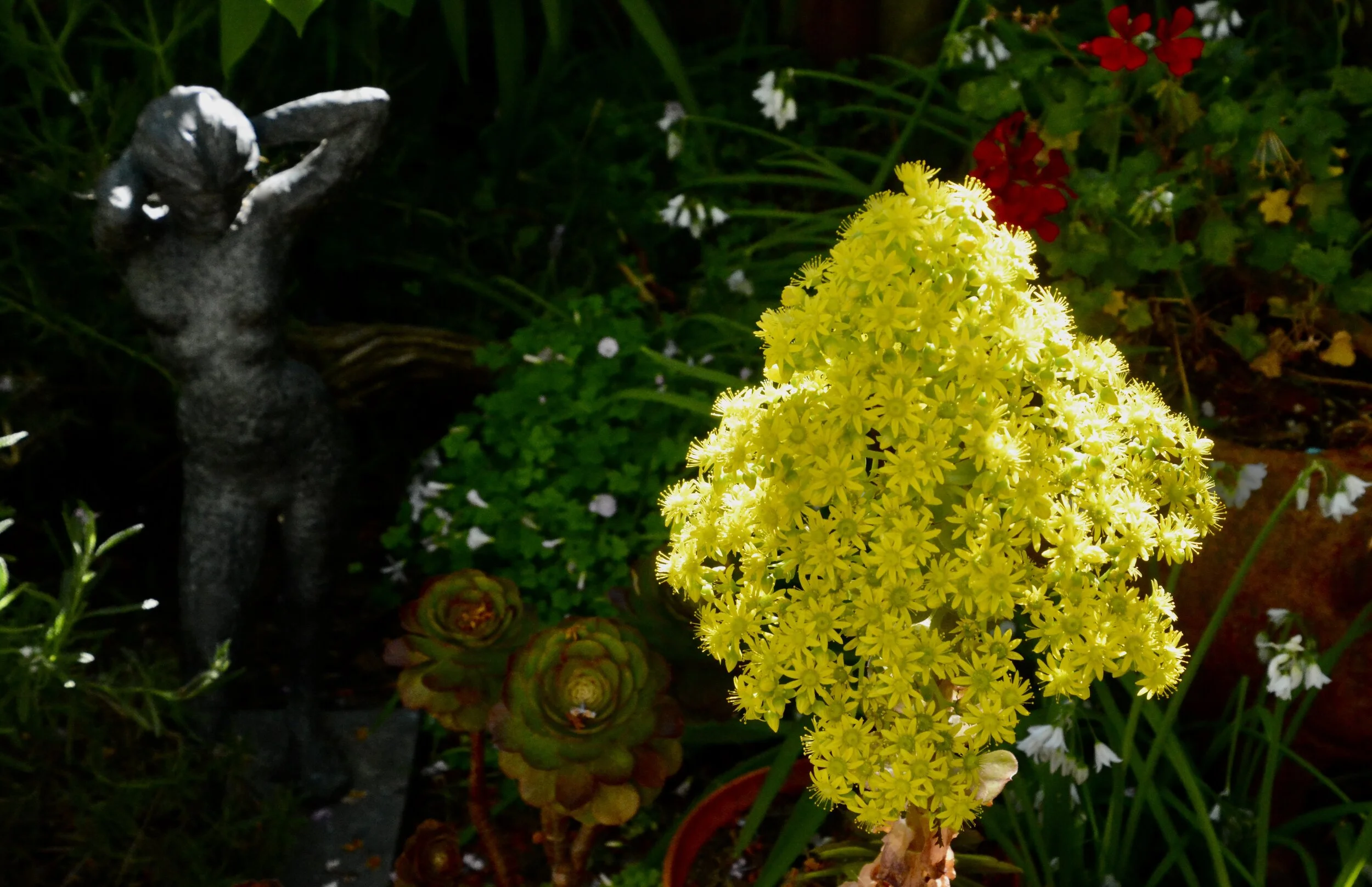 Day 39: Waiting in Shadow