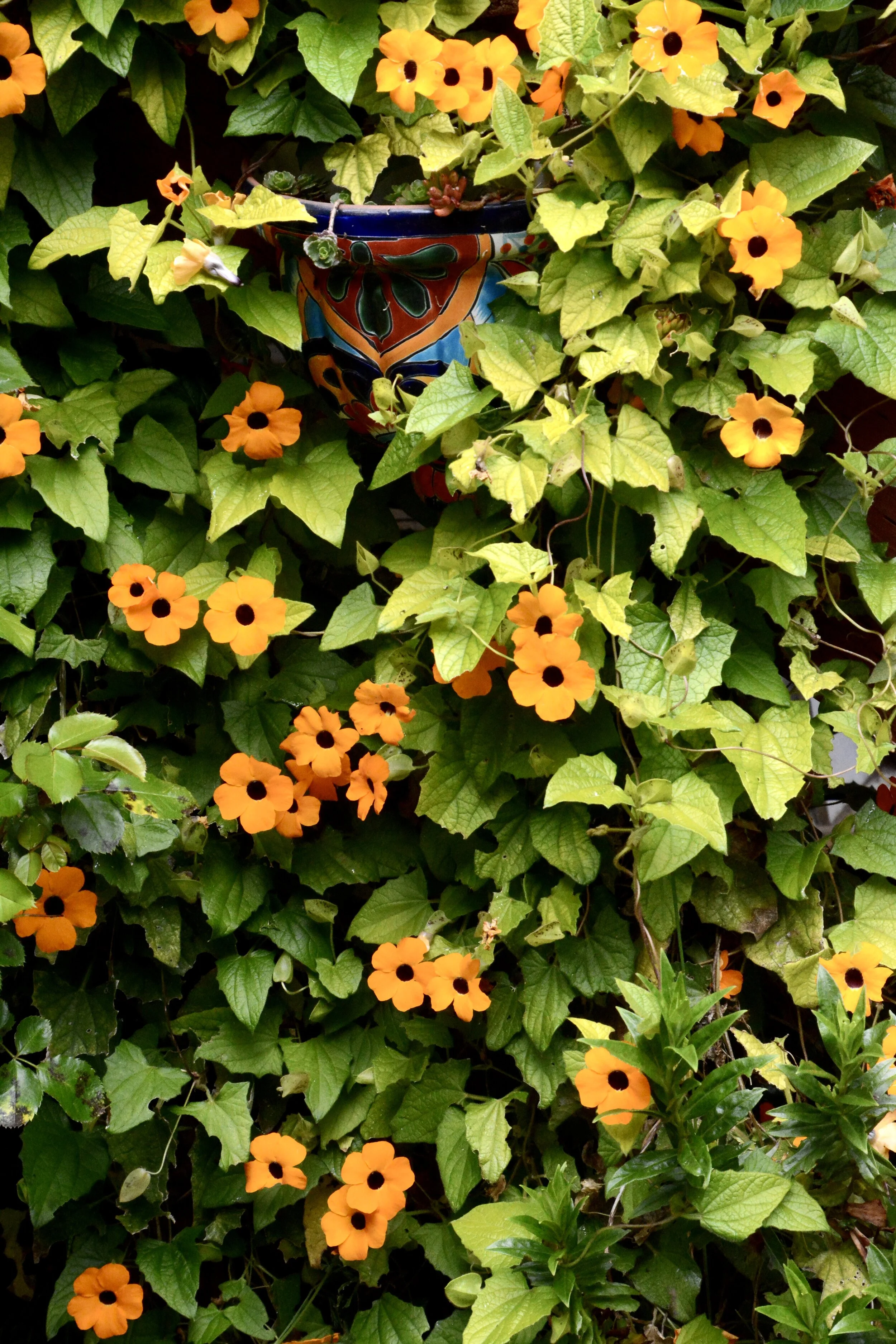 Day 58: Happy Campers