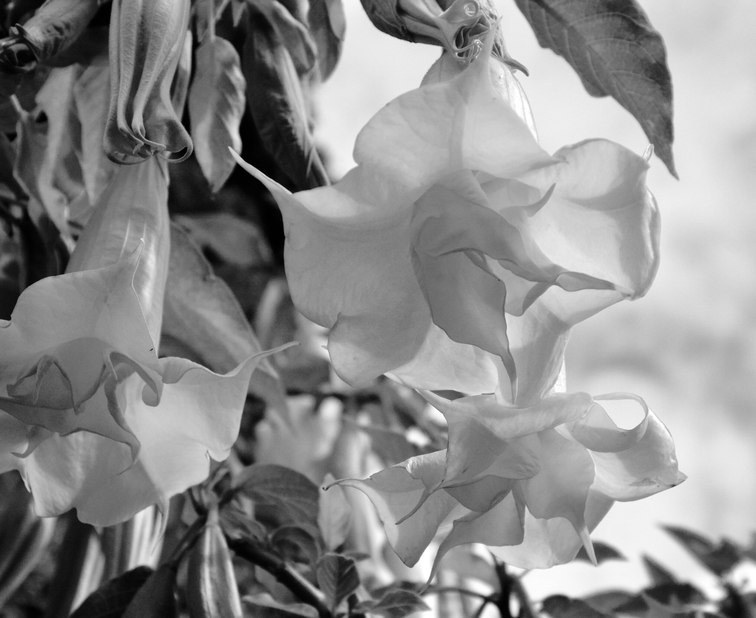 Day 60: May 15, 2020