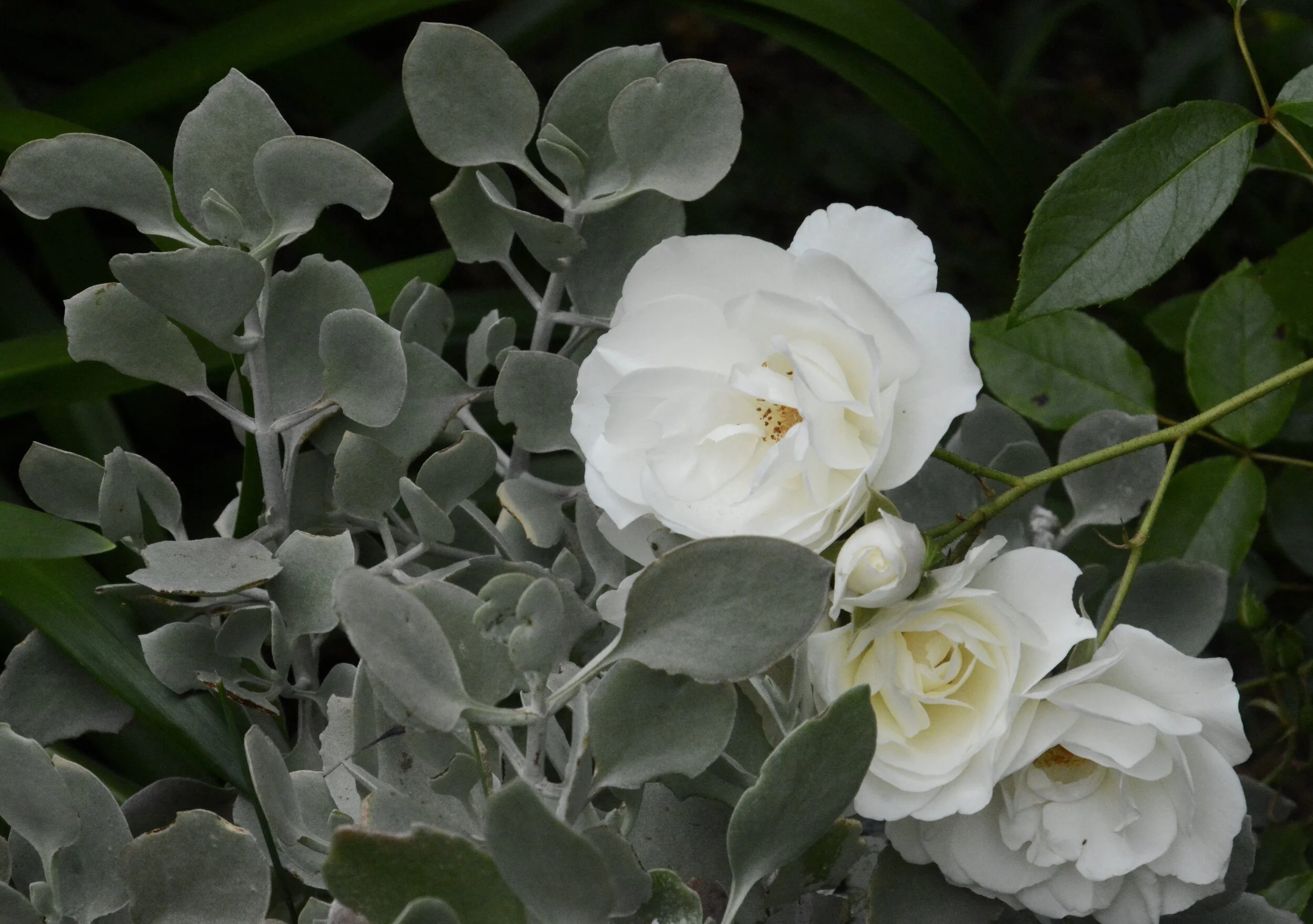 Day 63, May 18, 2020