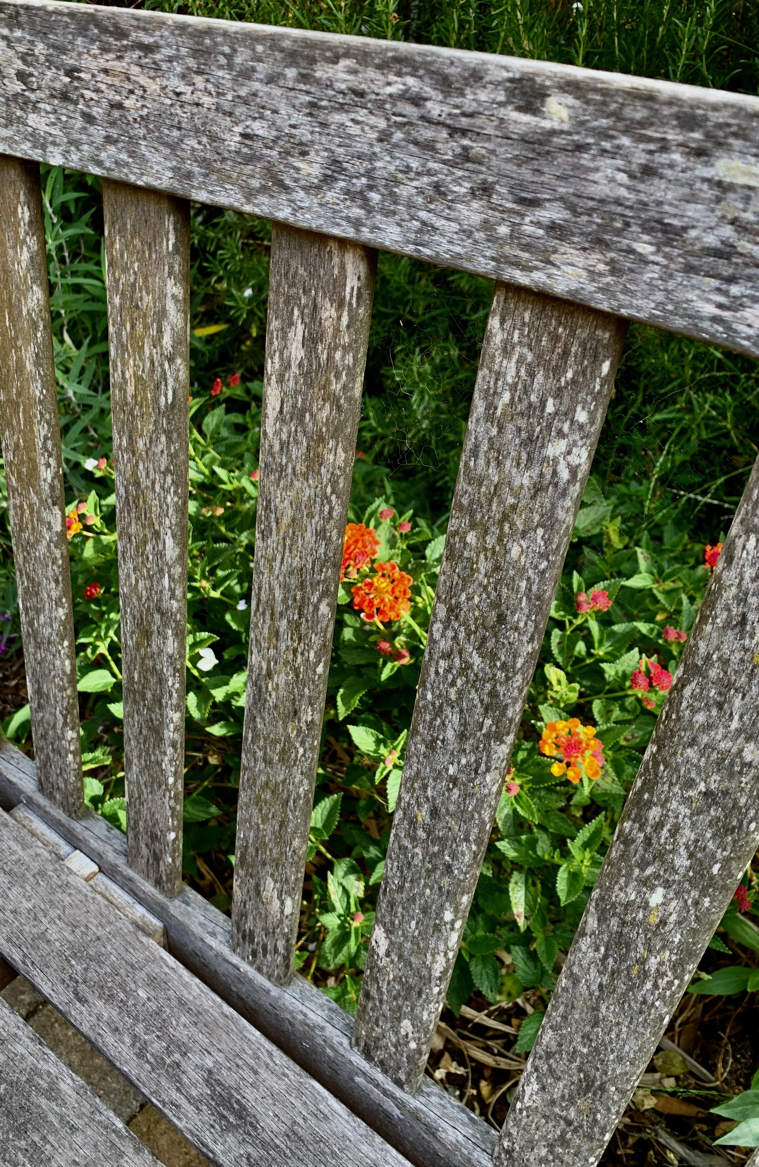 June 18, 2020: Signs of Summer