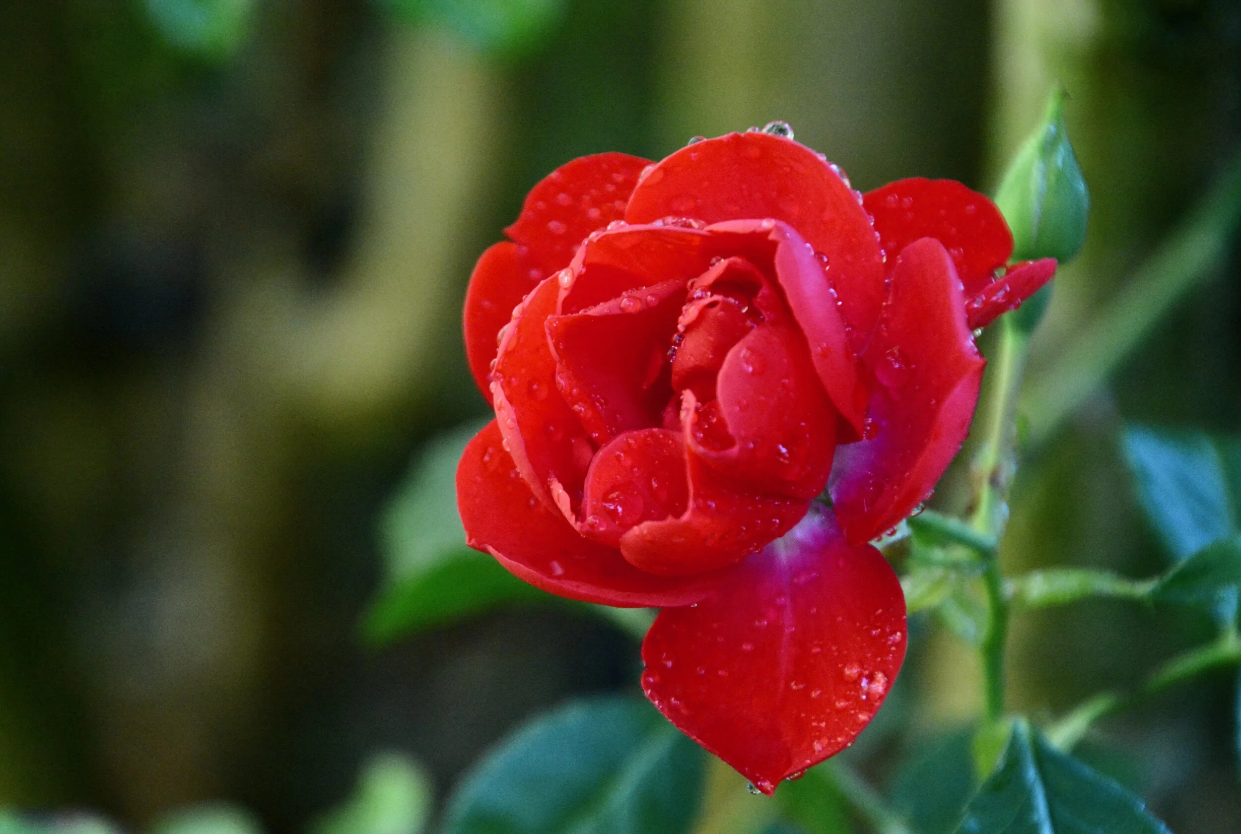 June 21, 2020: Enough