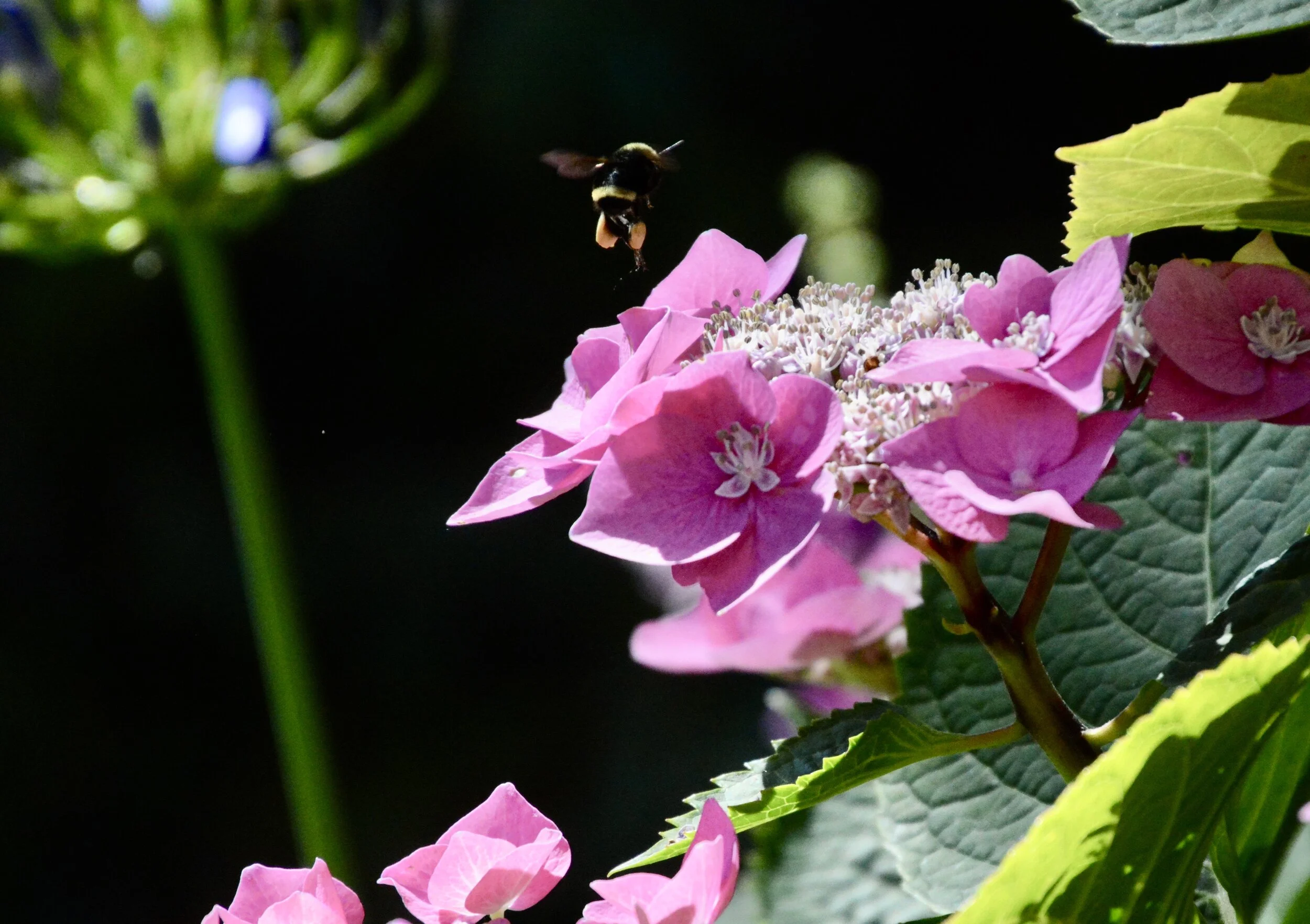 June 23, 2020: Sated