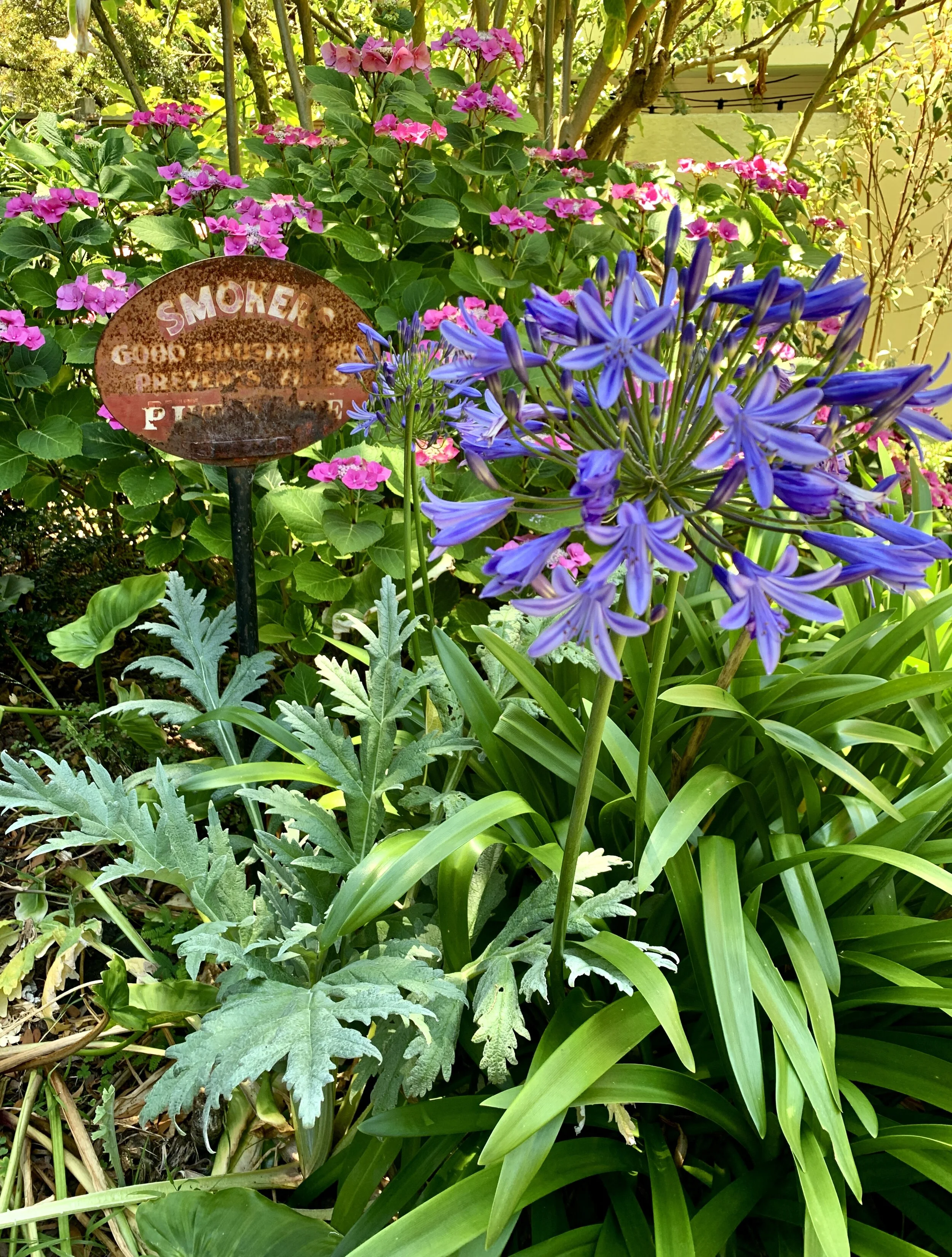 June 26, 2020: The Old and the Young