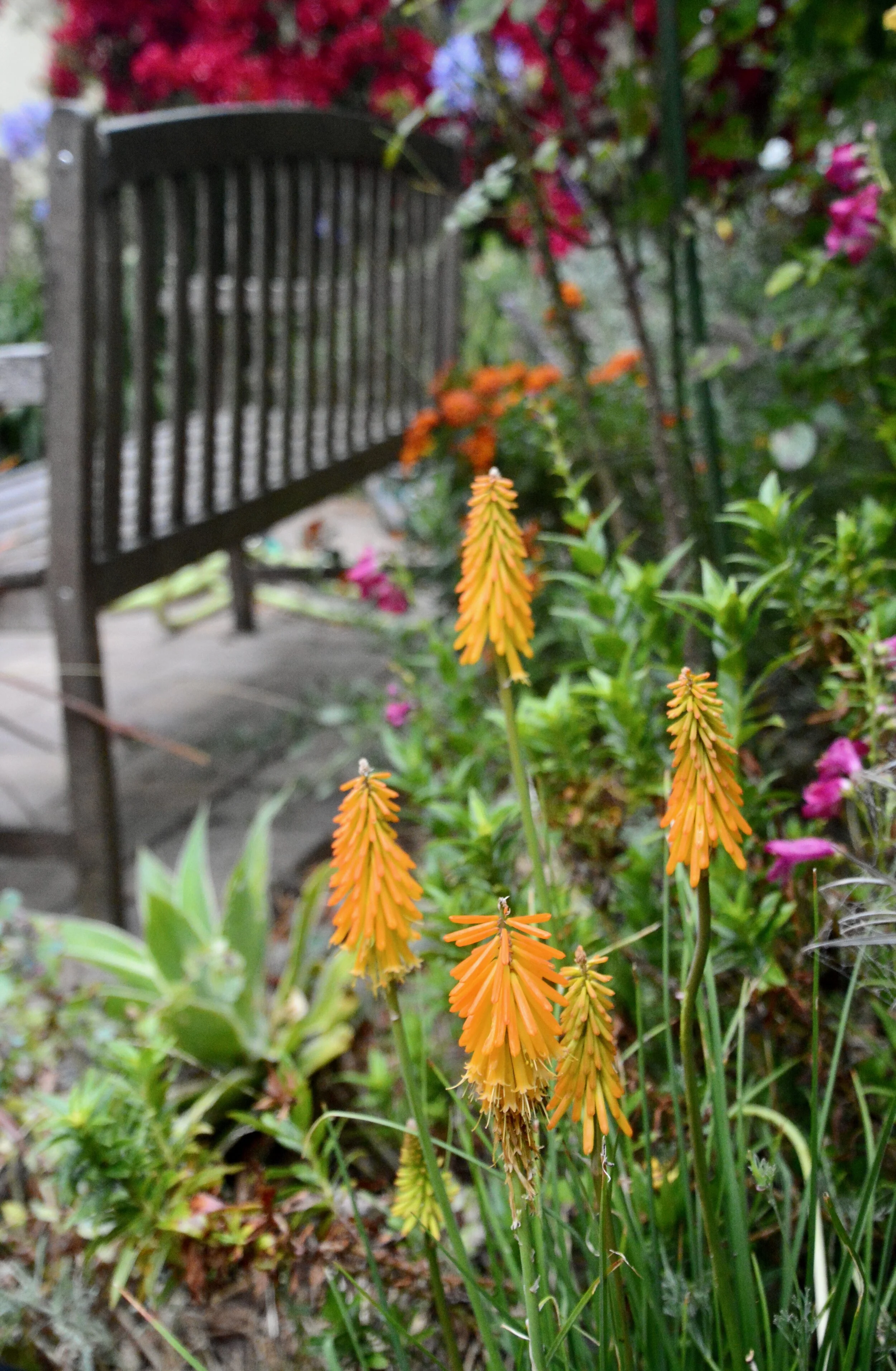 June 27, 2020: Early Fireworks