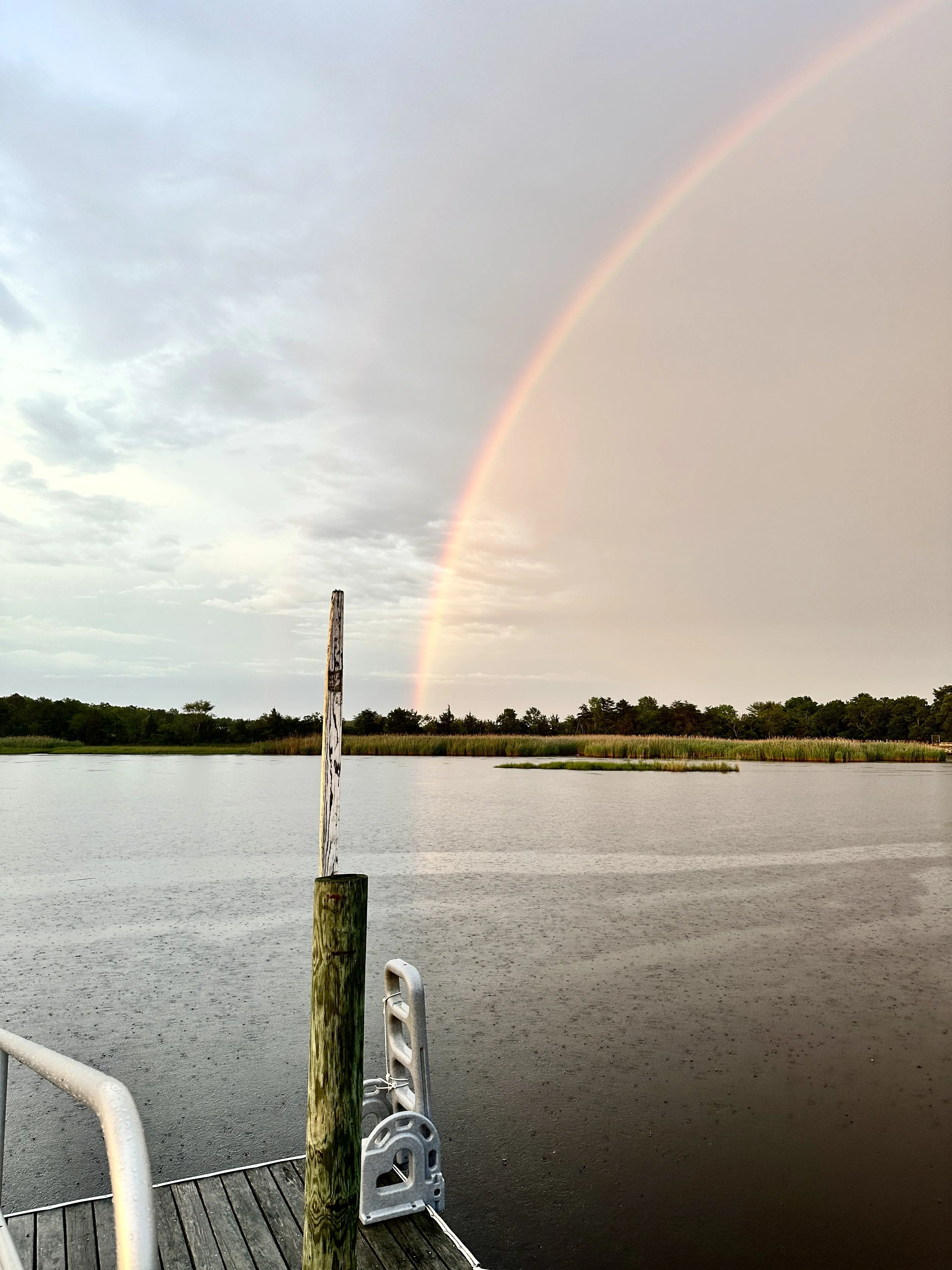 Backyard Haiku Week 21