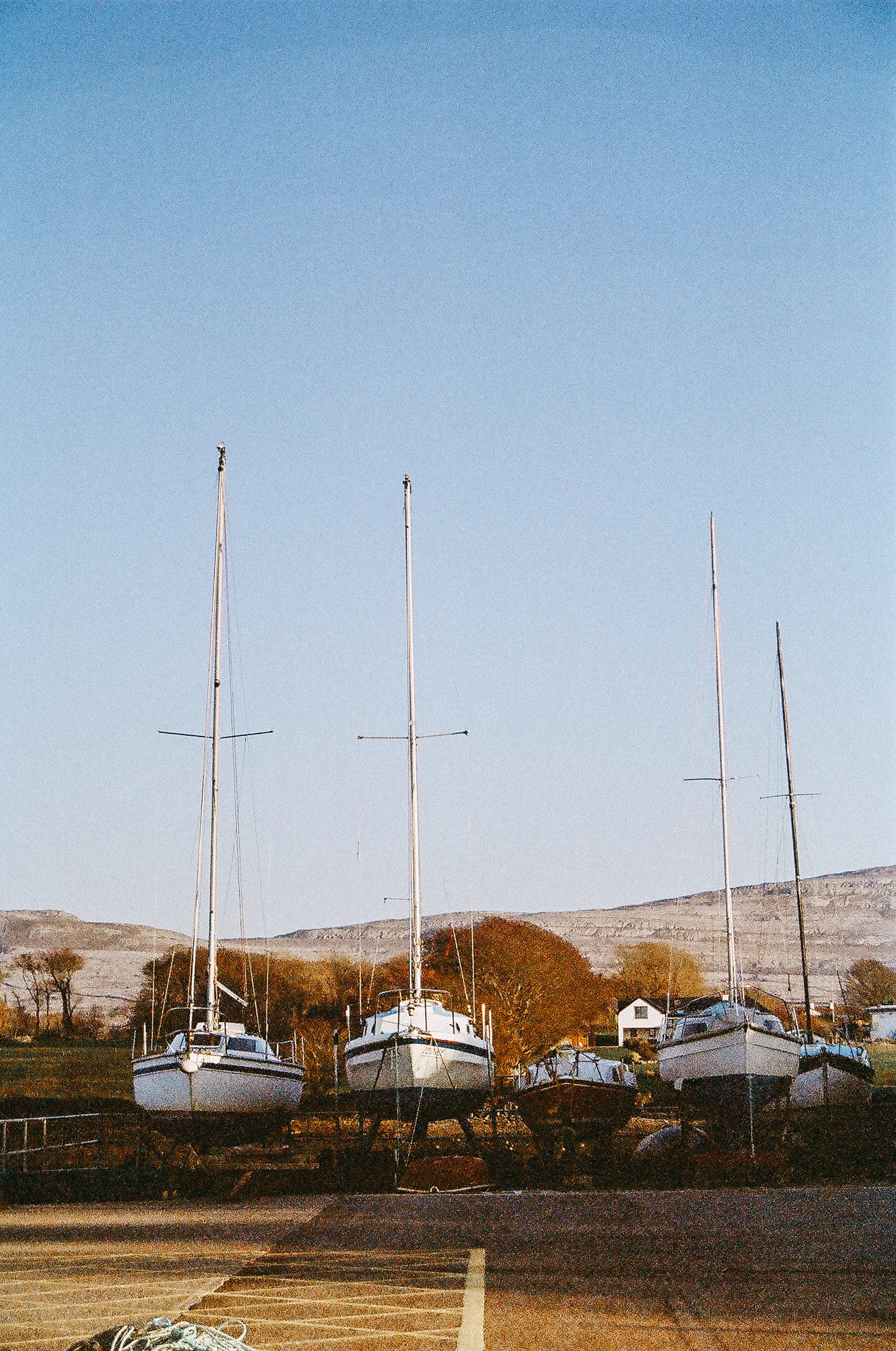 93320003.jpg