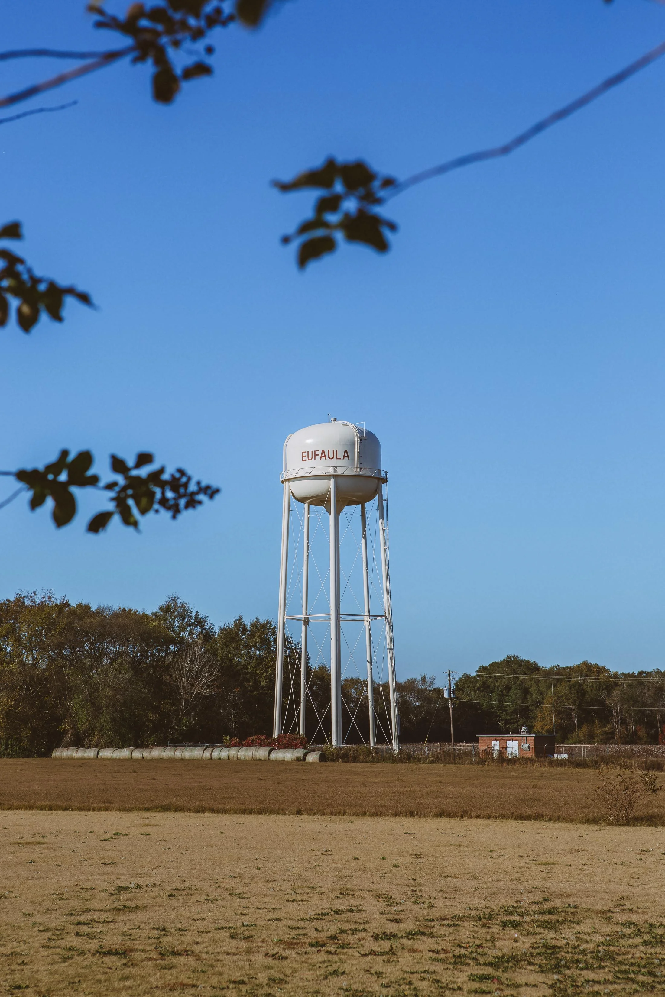 Photography-3E4A9976-Kenslie McGuire.jpg