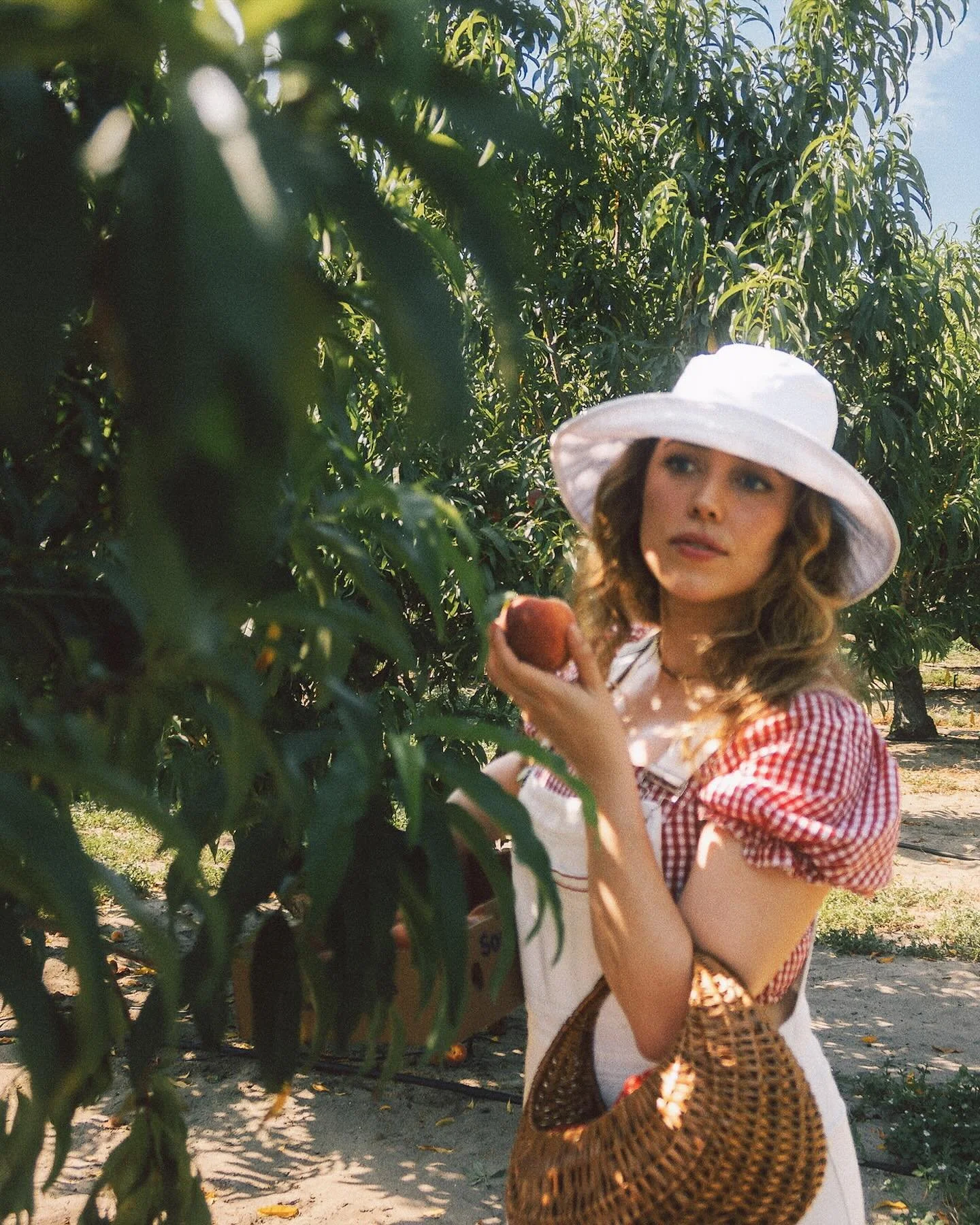 Peach Pickin&rsquo; 🍑

#freshfruit #peaches #floridalifestyle