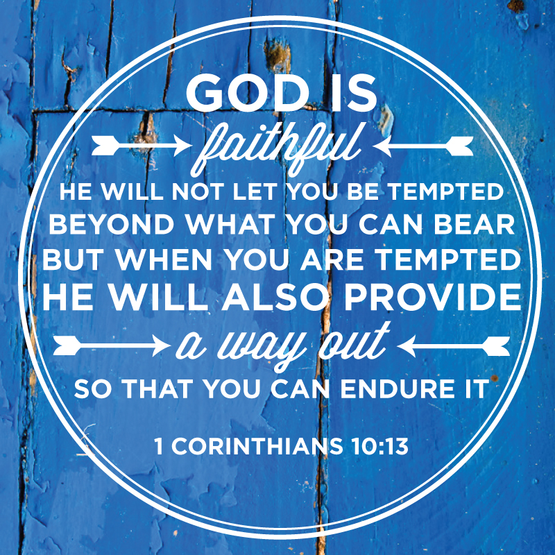 Photo credit: liketreesplanted.com