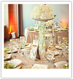 Melvin Gilbert Photography