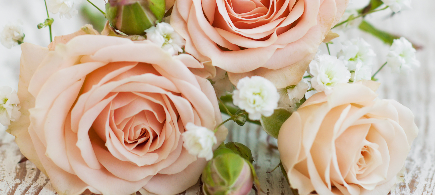 flowers.png