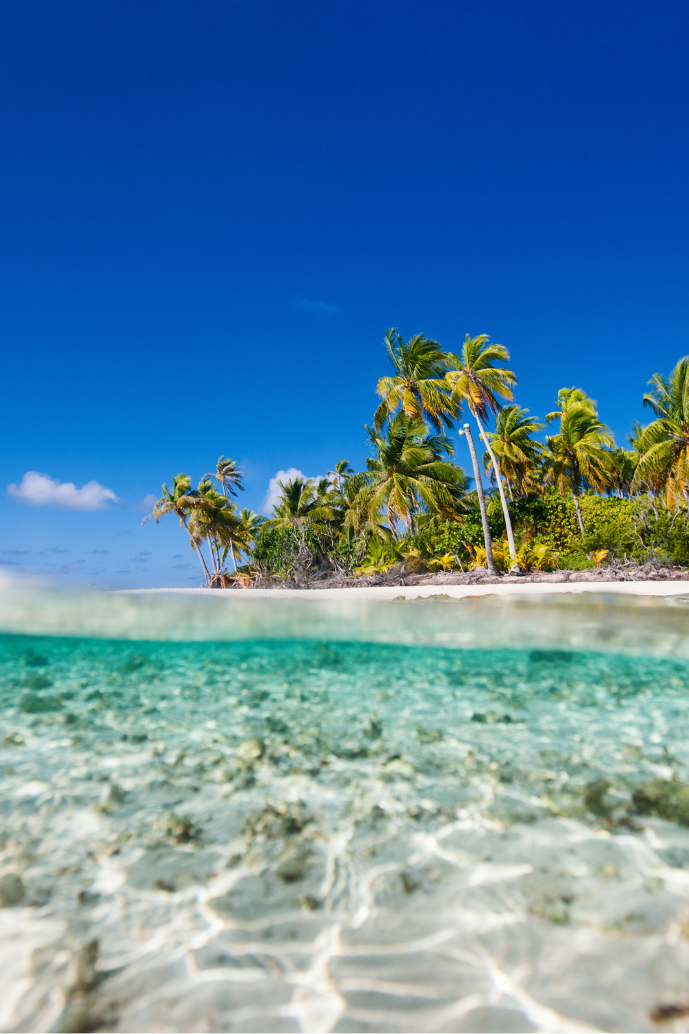 Know the 3 Seasons for Booking Your Destination Wedding