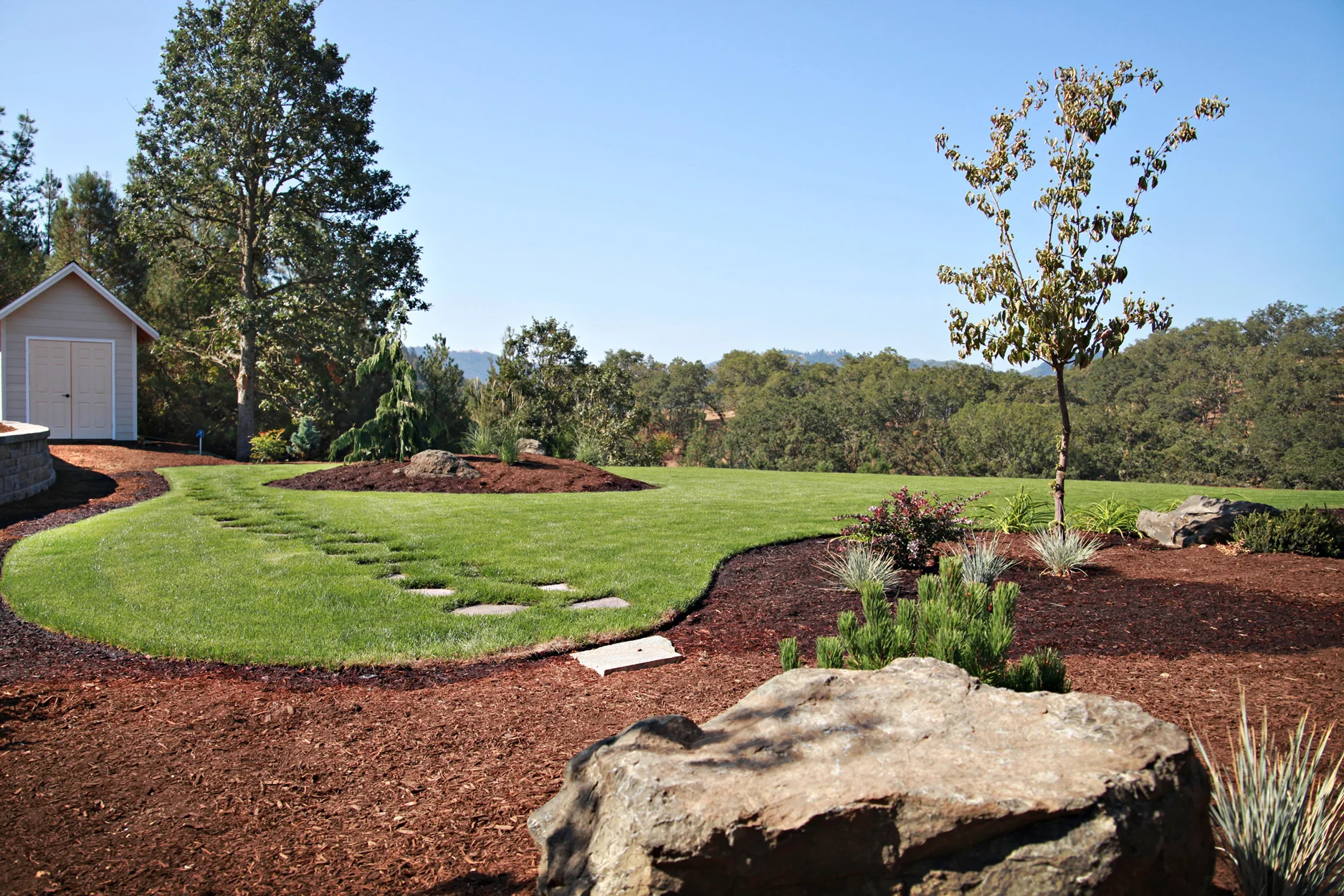 Backyard1Web.jpg