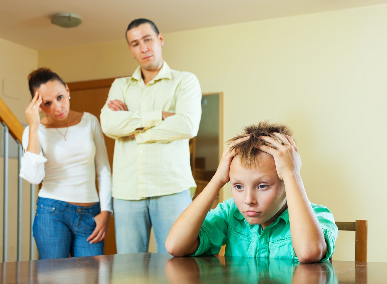 Systemic / Family Therapy