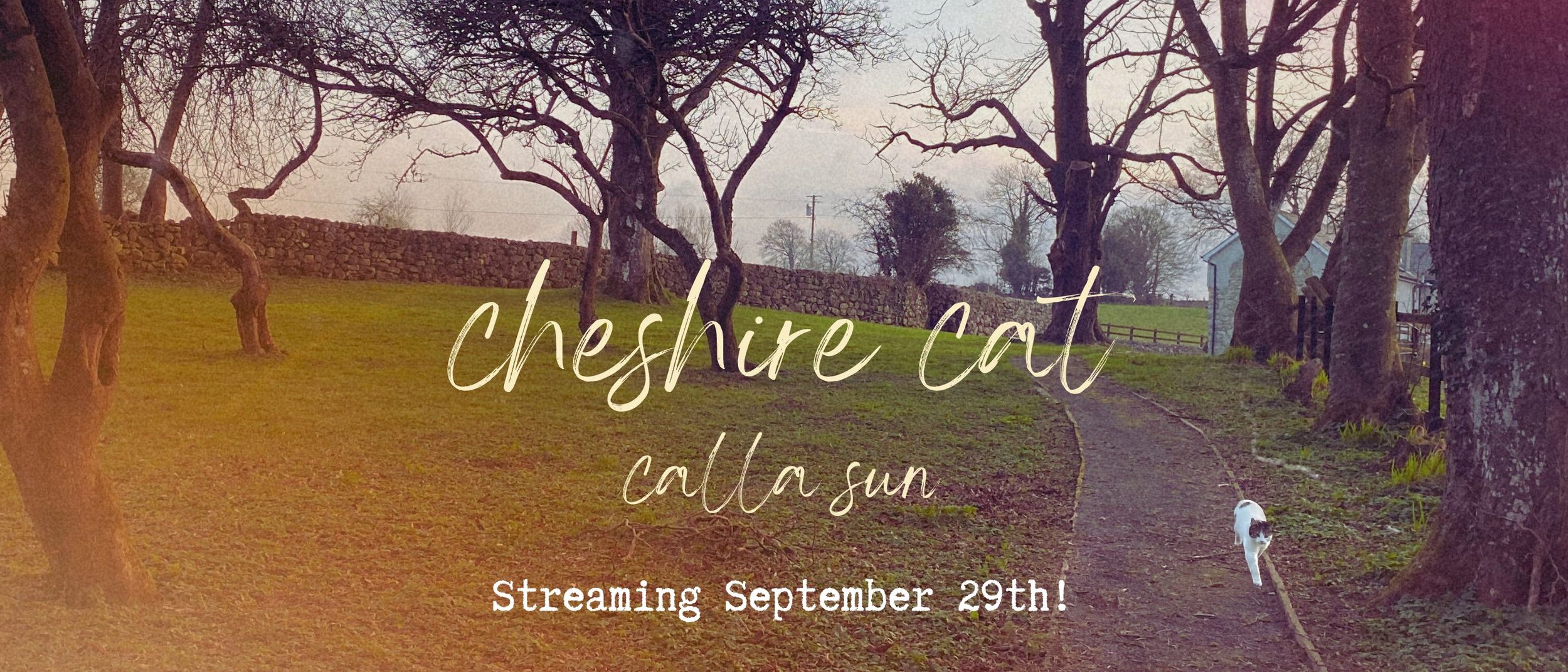 cheshire cat spotify banner (2660 × 1140 px).jpg