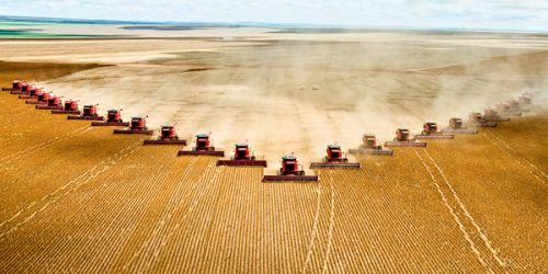 Industrial Scale Monocultures