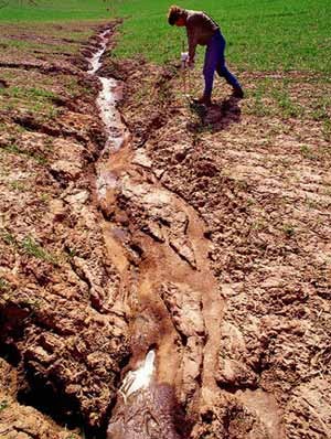 Soil Erosion