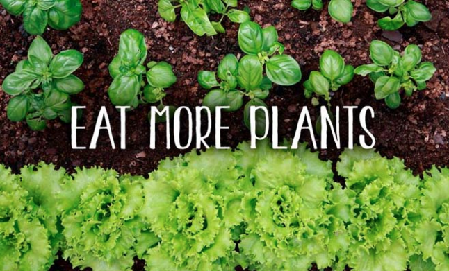 Include more plants in your diet !