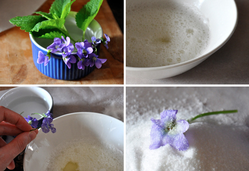 Candied Violets imagine childhood/ Flickr 