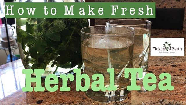 Do you enjoy drinking tea? Have you ever had fresh herbal tea!? Our new video shows how easy and enjoyable it is to grow and pick your own herbs for tea. Go check out the video by using the link in our bio!
#CitizensofEarth #Garden #Organic #Permaculture #Ediblelandscape #Fresh #Health #Happiness #Harmony #sustainableliving #community #homegarden #outdoors #fun #growfood #herbalism #nutrition
#plant #planting #vegetable #health #healthy
#natural #nature #eat #lifestyle #organic #herbaltea