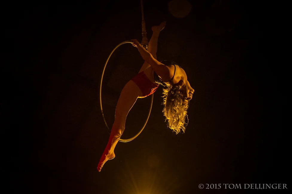 Candybutcher's Ball . Photo by Tom Dellinger