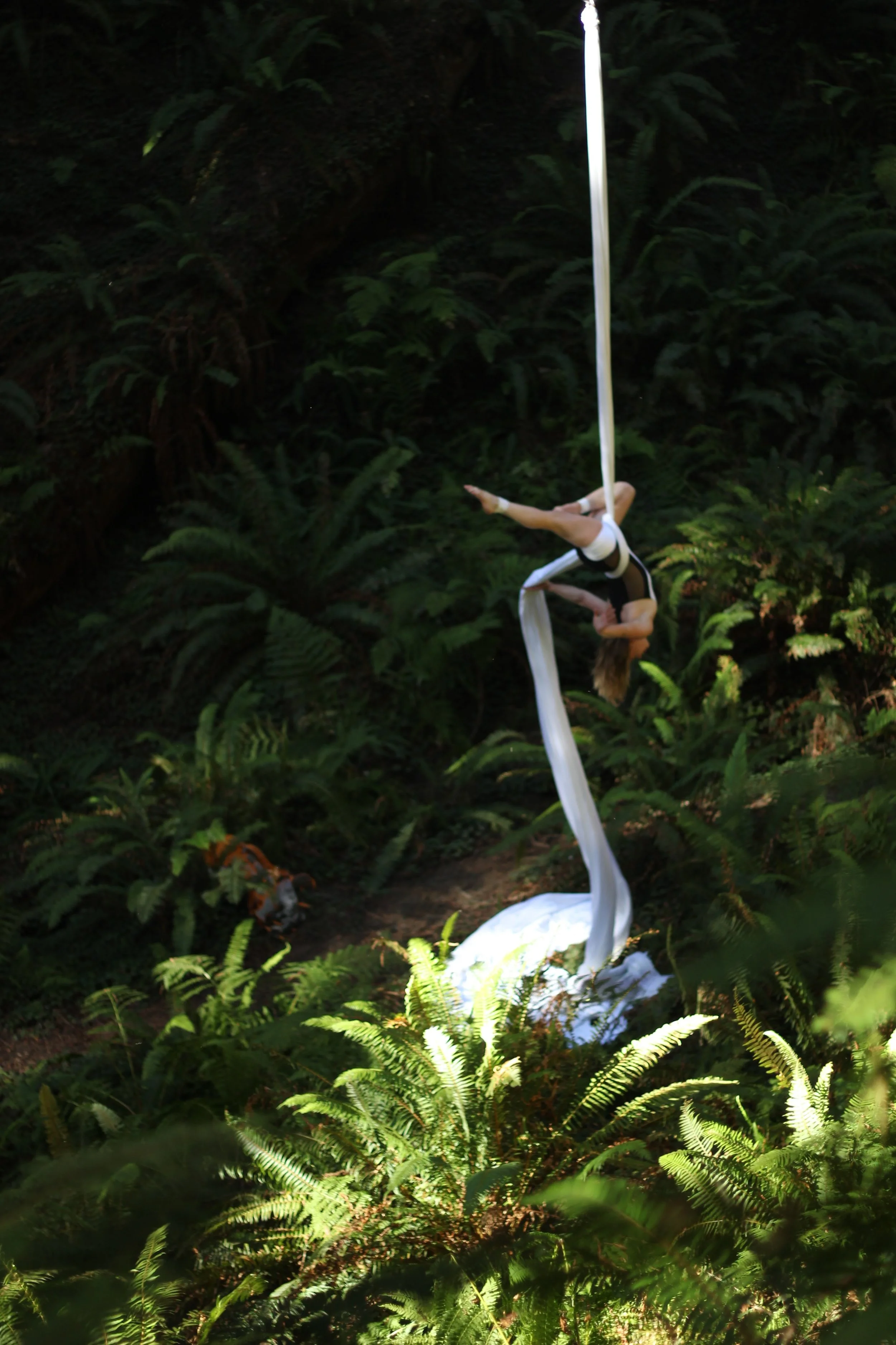  Photo by Reyanne Mustafa 