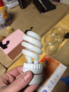 Edible lightbulb