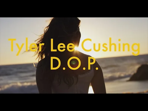 Tyler Lee Cushing Demo Reel 2017
