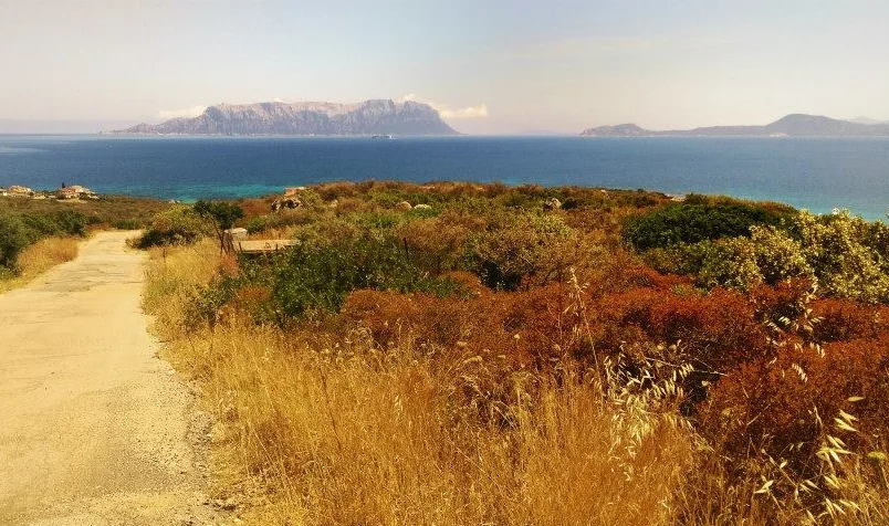 VIEW OF ISOLA TAVOLARA 