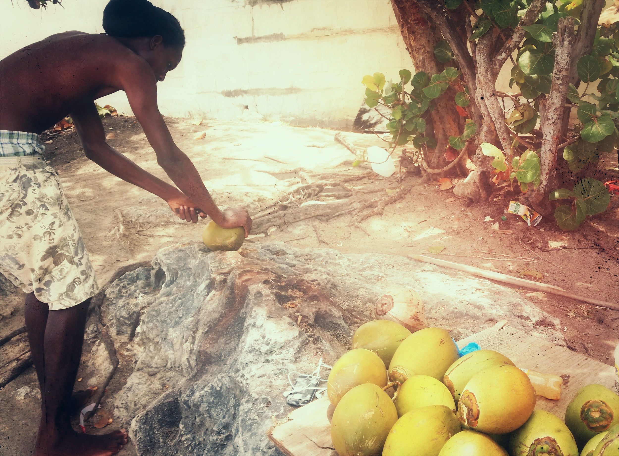 the only other people at the top of the cliff were two men, who climb up these lofty coconut trees, pick fresh coconuts and sell them. 