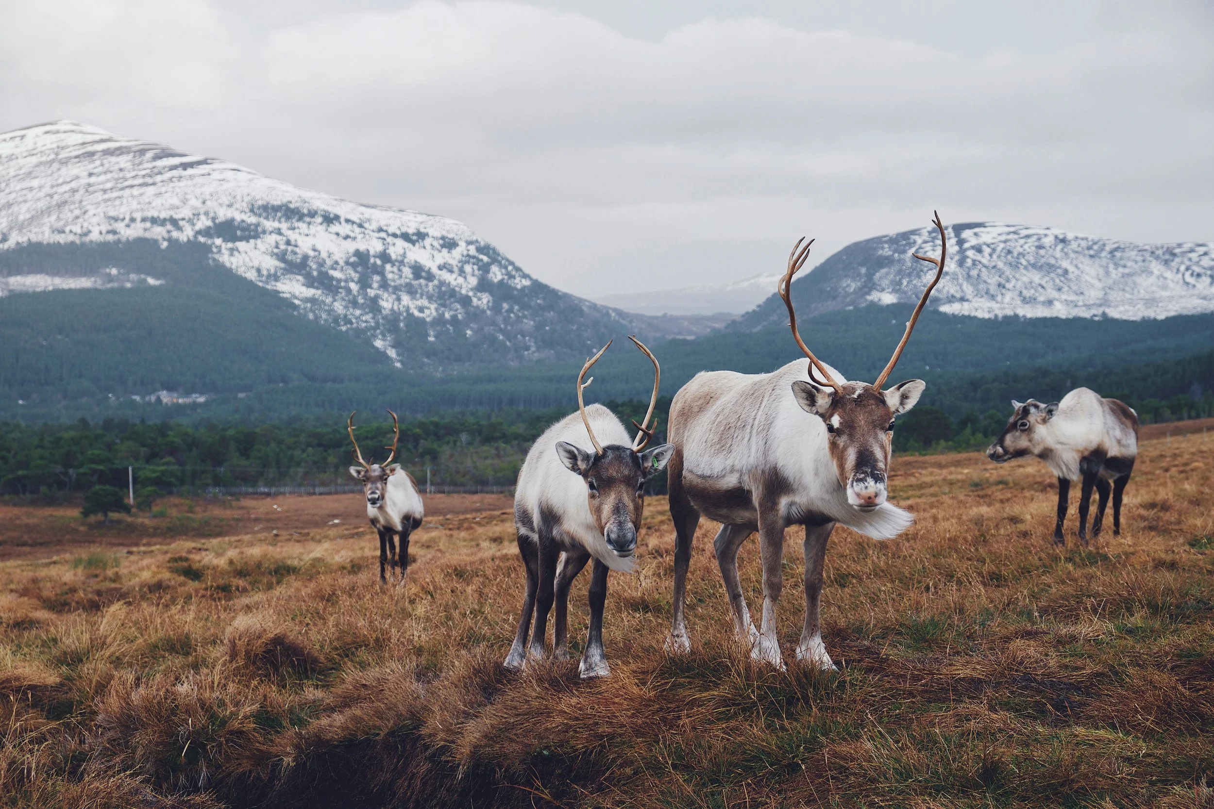 11 Of The Most Christmassy Places in Britain
