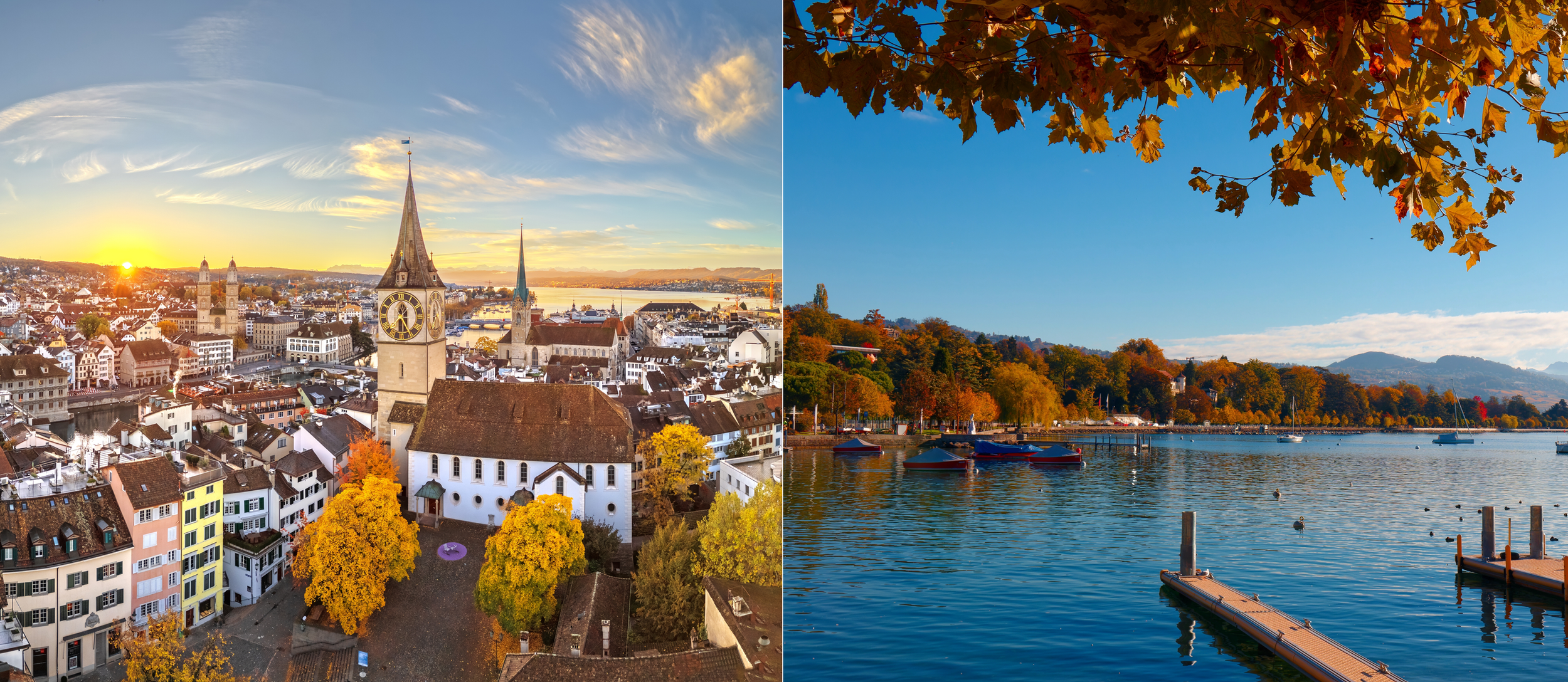ACA Swiss Town Halls - November 12th & 13th