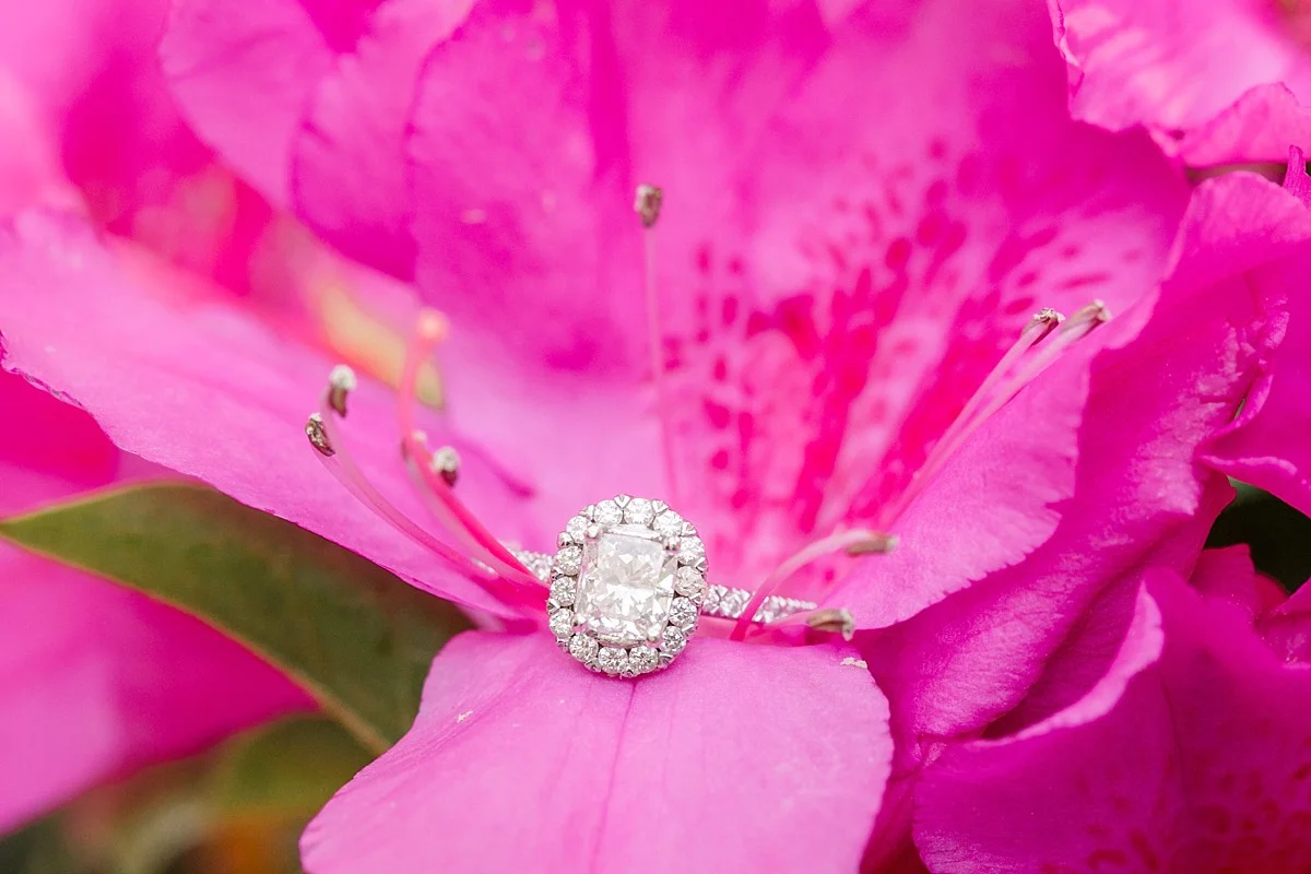 orlando-engagement-photographer_0104.jpg