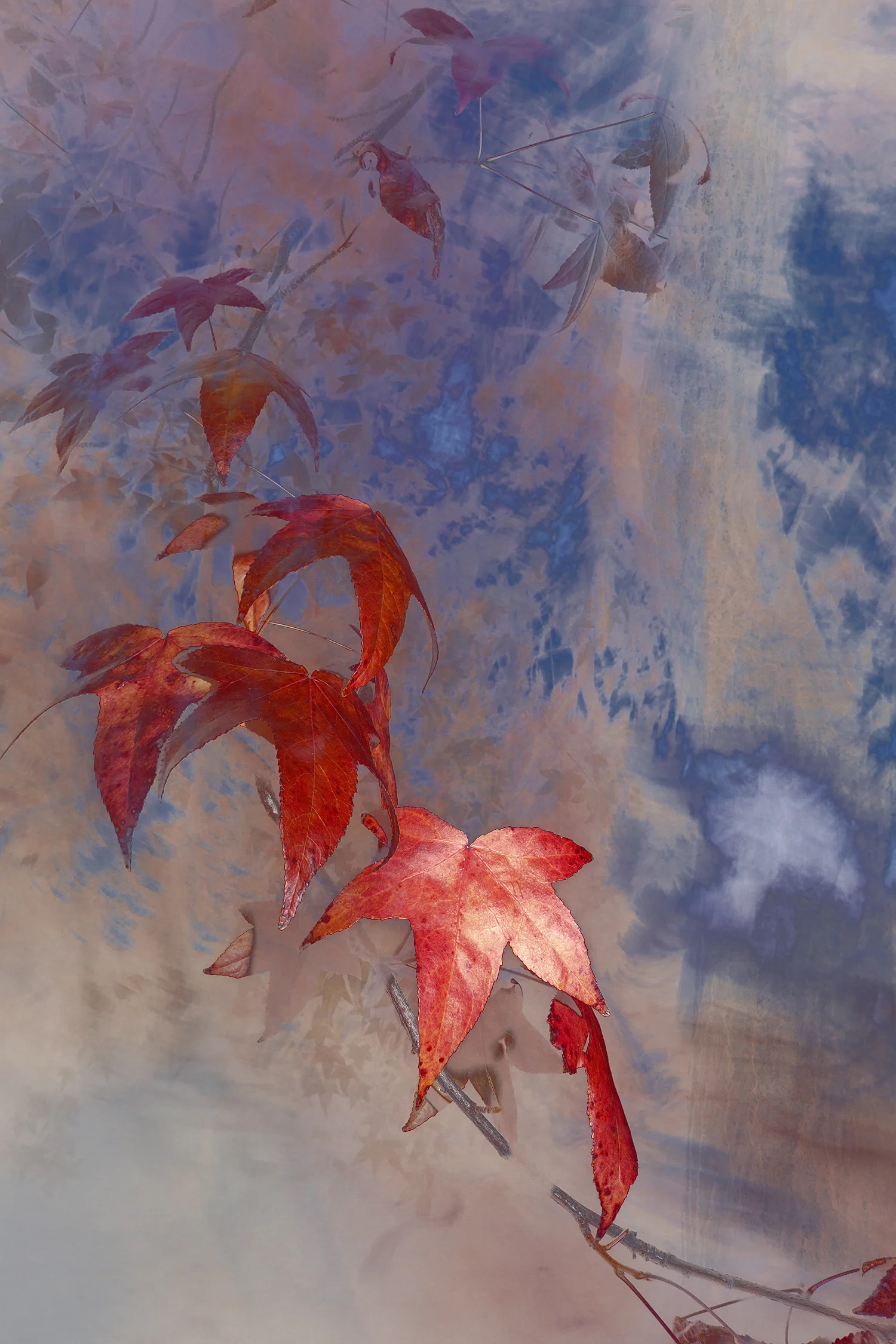 30 November 2017 No. 2308