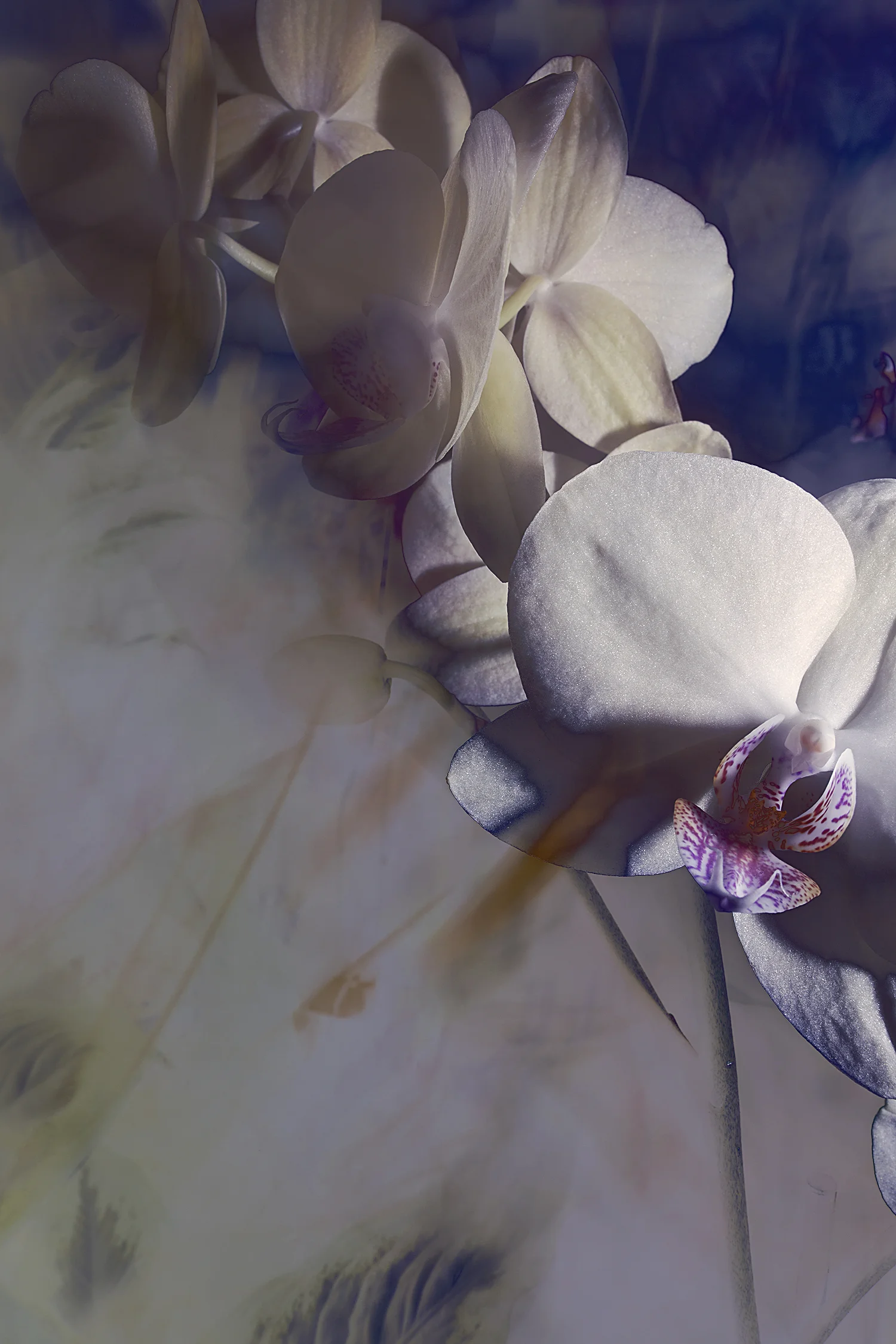 20 February 2018 No. 4845