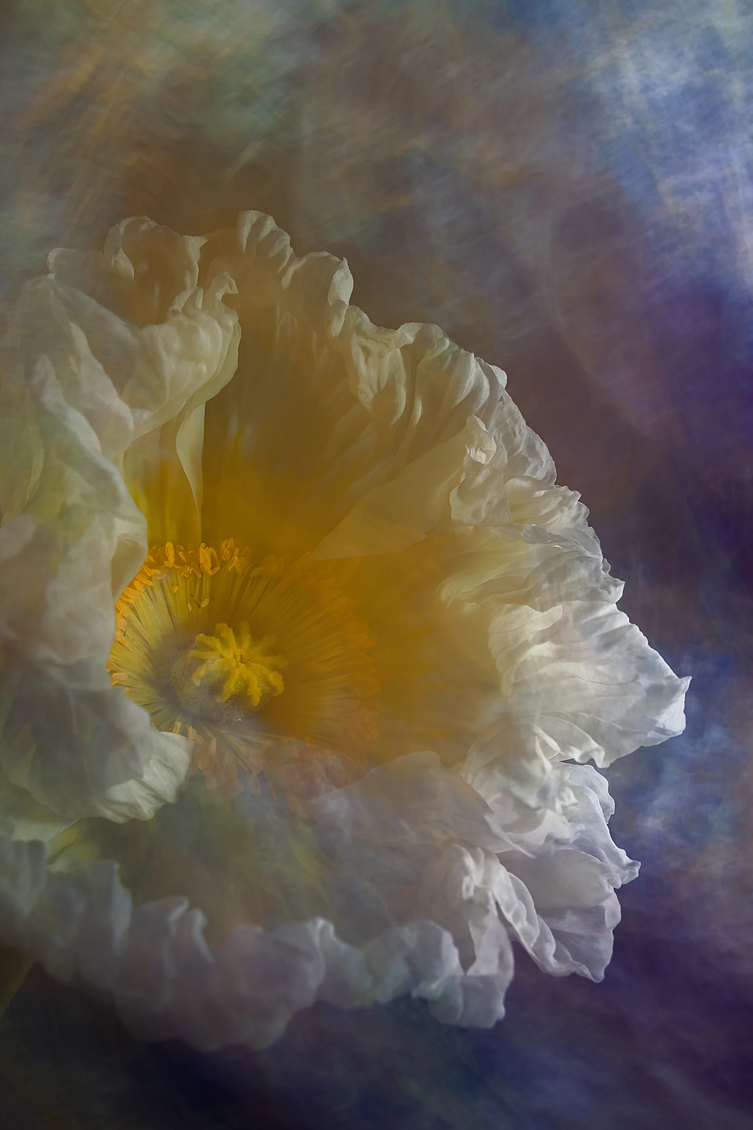 16 March 2019 No. 5965
